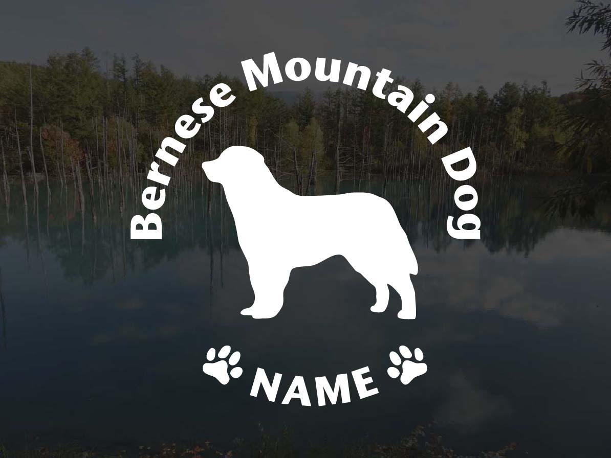 [犬のステッカー]『DOG STICKER』名前入りドッグステッカーバーニーズマウンテンドッグ (Lサイズ)