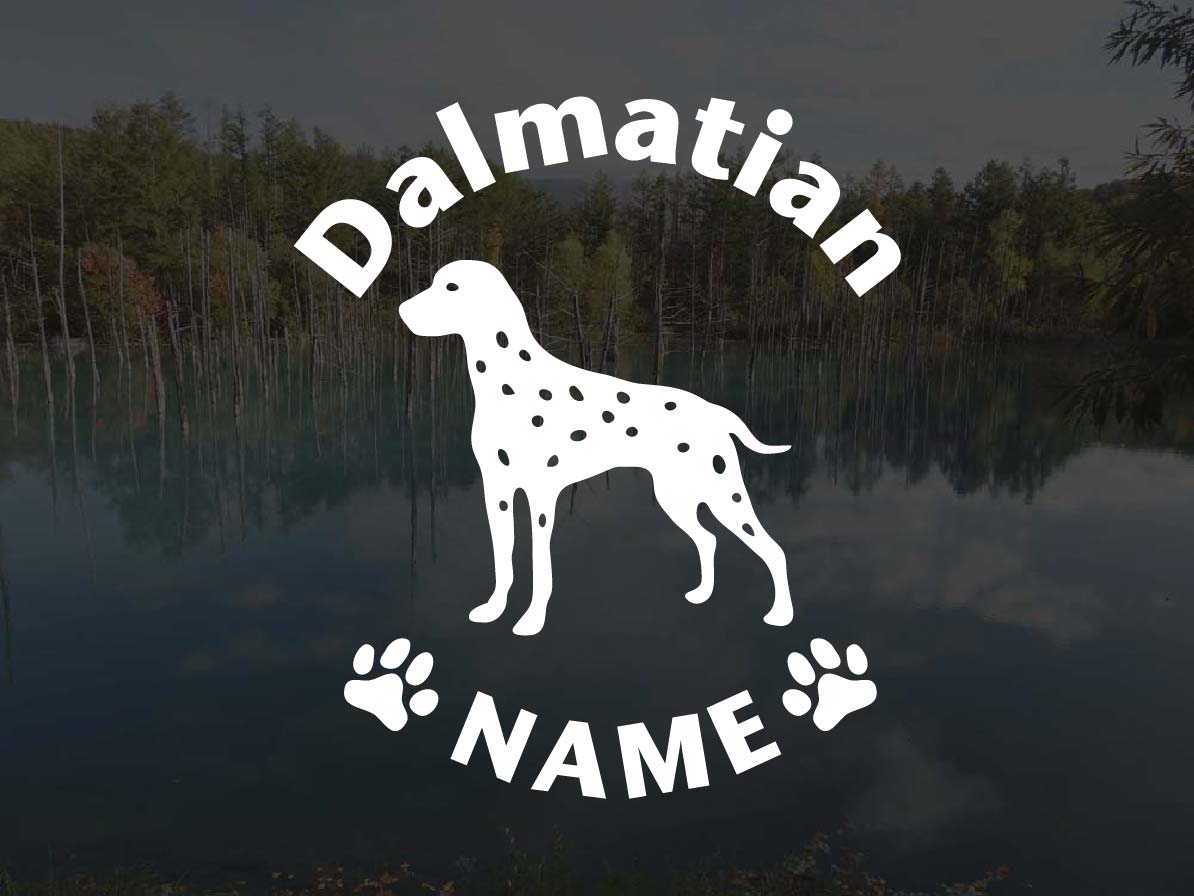 [犬のステッカー]『DOG STICKER』名前入りドッグステッカーダルメシアン(Lサイズ)
