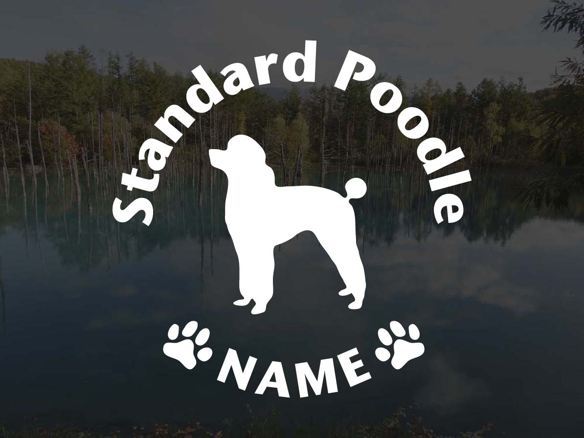 [犬のステッカー]『DOG STICKER』名前入りドッグステッカースタンダードプードルB(Lサイズ)