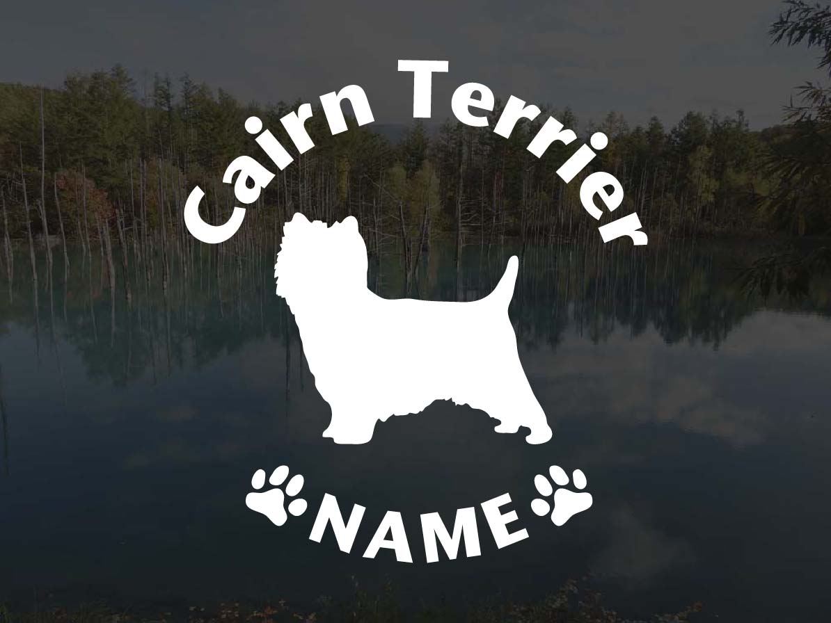 [犬のステッカー]『DOG STICKER』名前入りドッグステッカーケアーンテリア (Lサイズ)