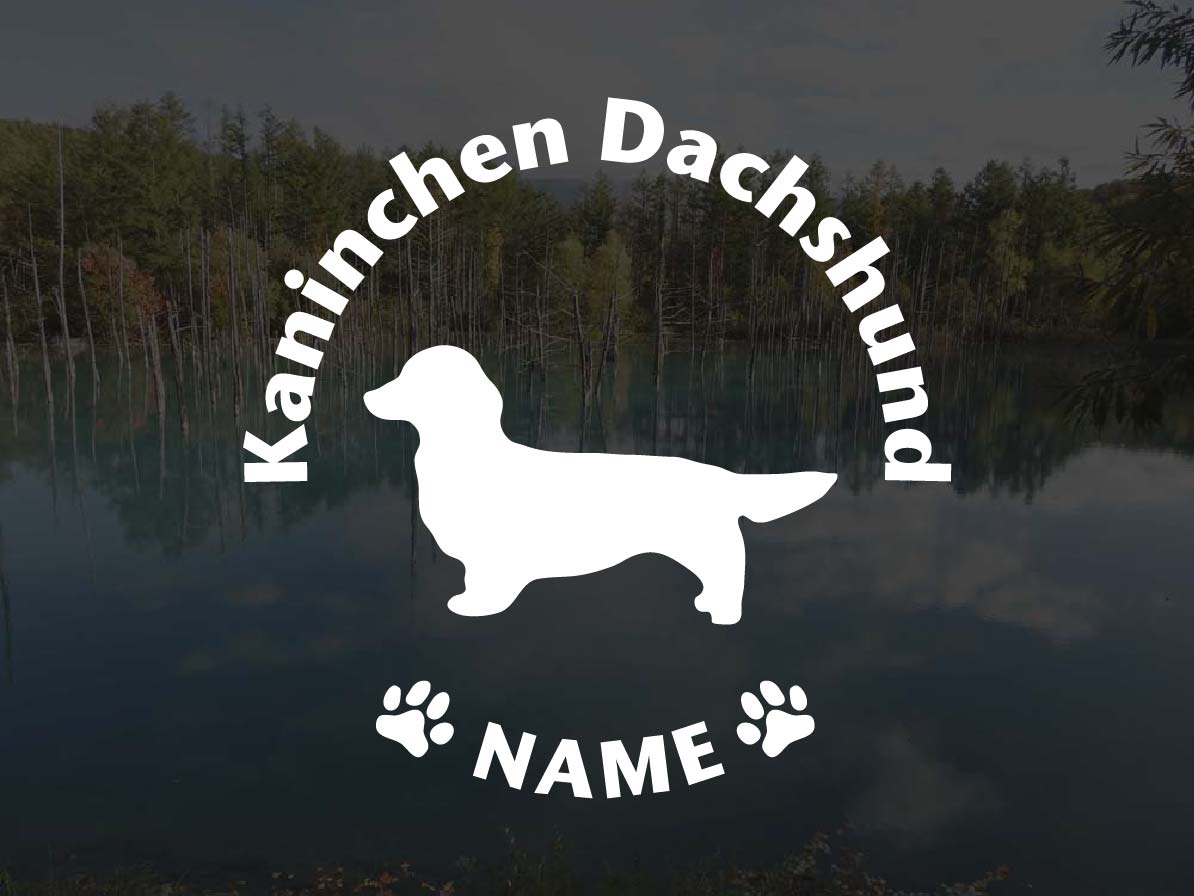 [犬のステッカー]『DOG STICKER』名前入りドッグステッカーカニンヘンダックスフンド ロングヘアード(L..