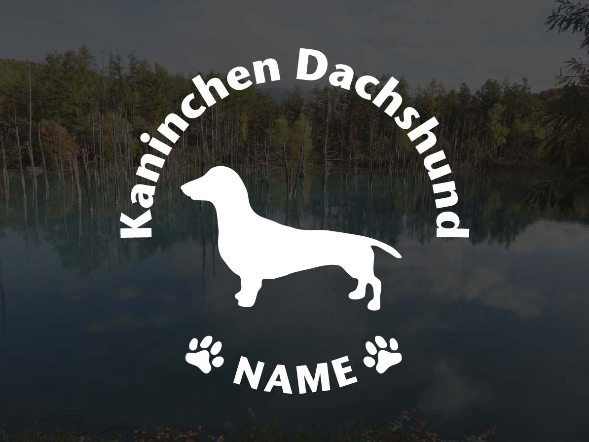 [犬のステッカー]『DOG STICKER』 名前入りドッグステッカーカニンヘンダックスフンド スムースヘアー..