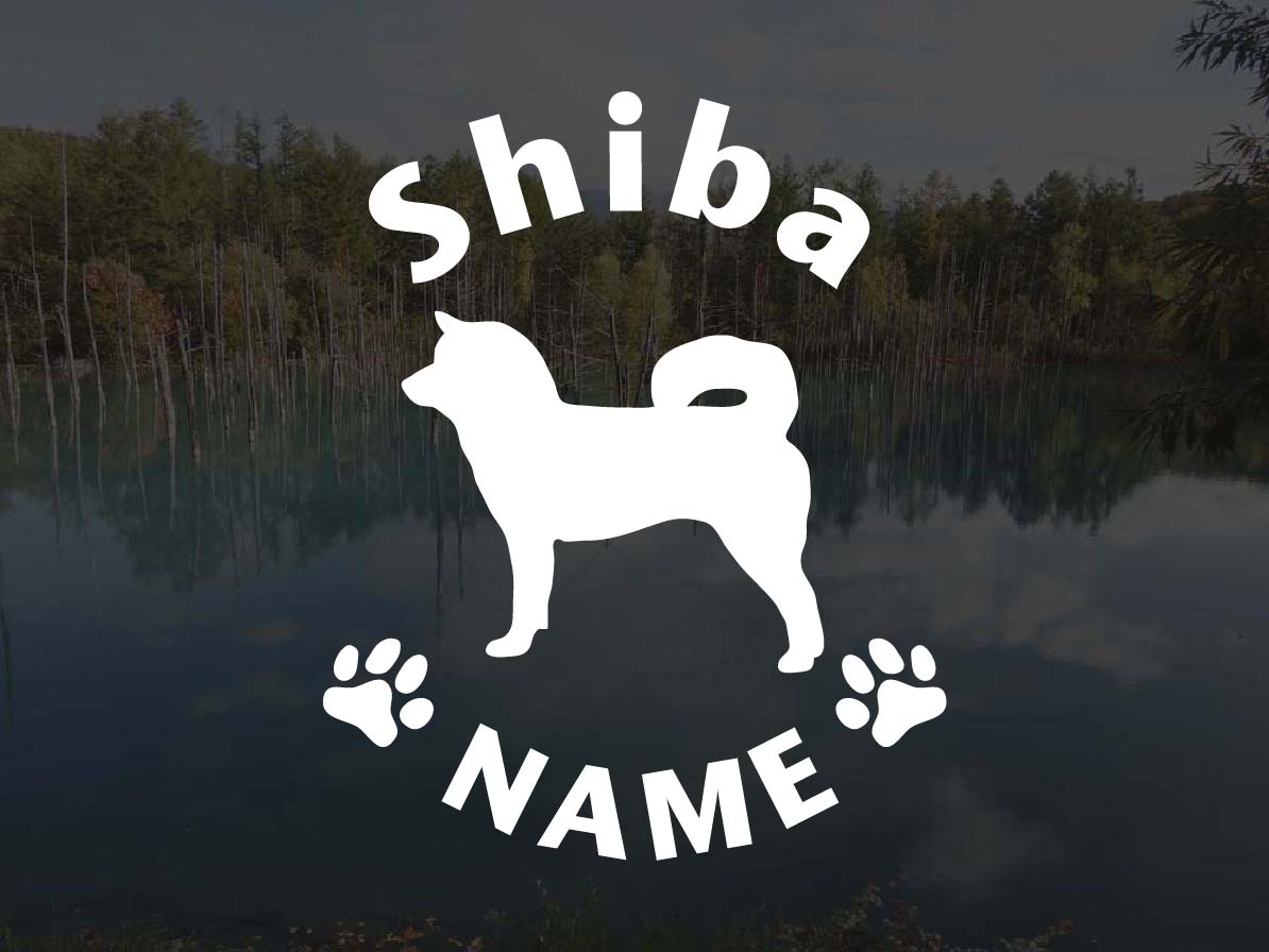 [犬のステッカー]『DOG STICKER』 名前入りドッグステッカー柴犬(Sサイズ)