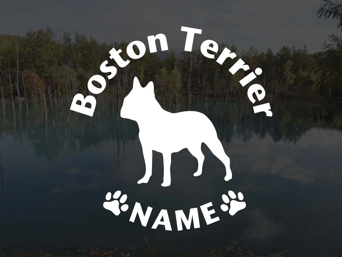 [犬のステッカー]『DOG STICKER』名前入りドッグステッカーボストンテリア (Sサイズ)