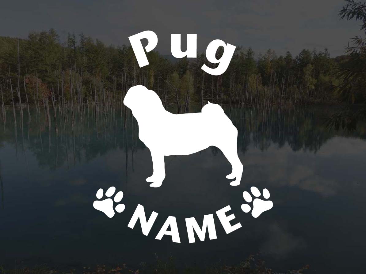 [犬のステッカー]『DOG STICKER』名前入りドッグステッカーパグ (Sサイズ)