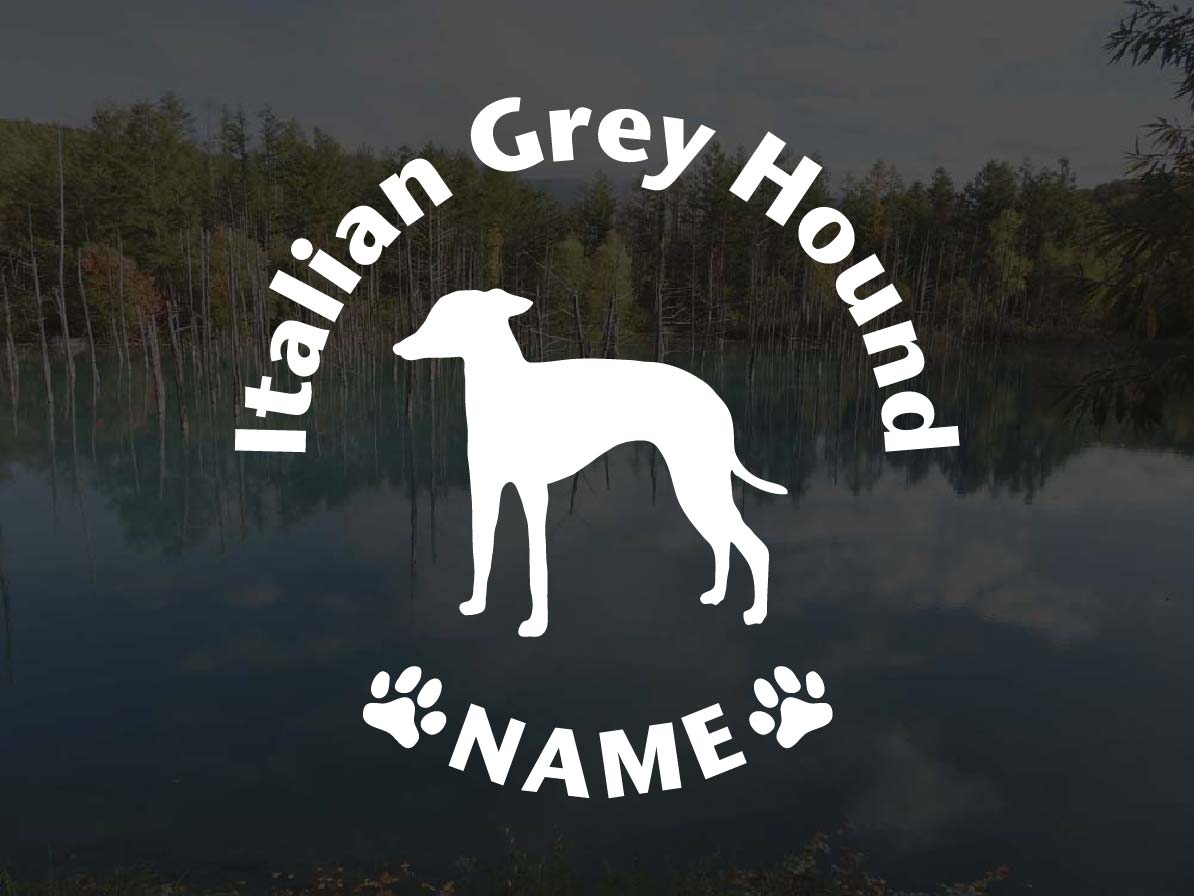 [犬のステッカー]『DOG STICKER』名前入りドッグステッカーイタリアングレーハウンド(Sサイズ)