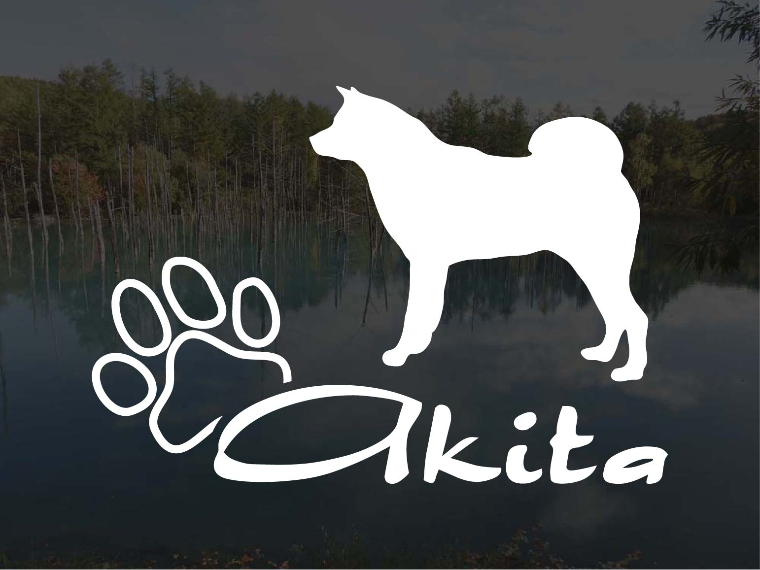 [犬のステッカー]『DOG STICKER』少し大きめのドッグステッカー秋田犬