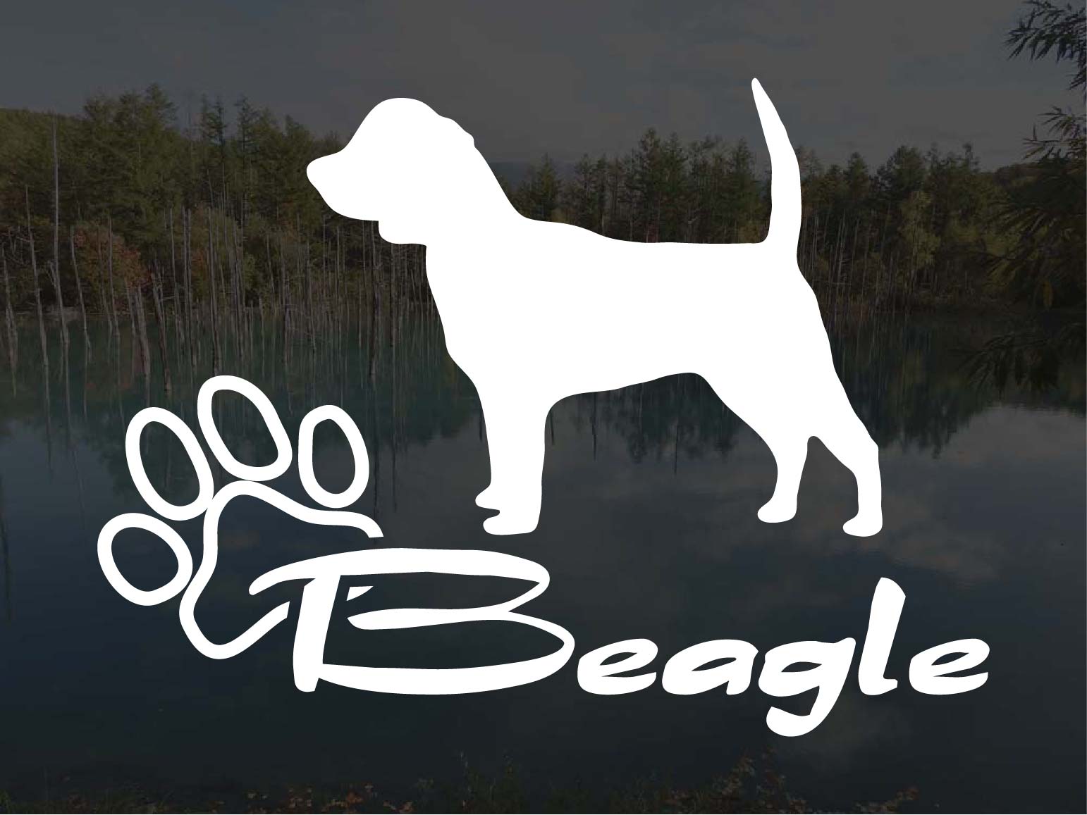 [犬のステッカー]『DOG STICKER』少し大きめのドッグステッカービーグル