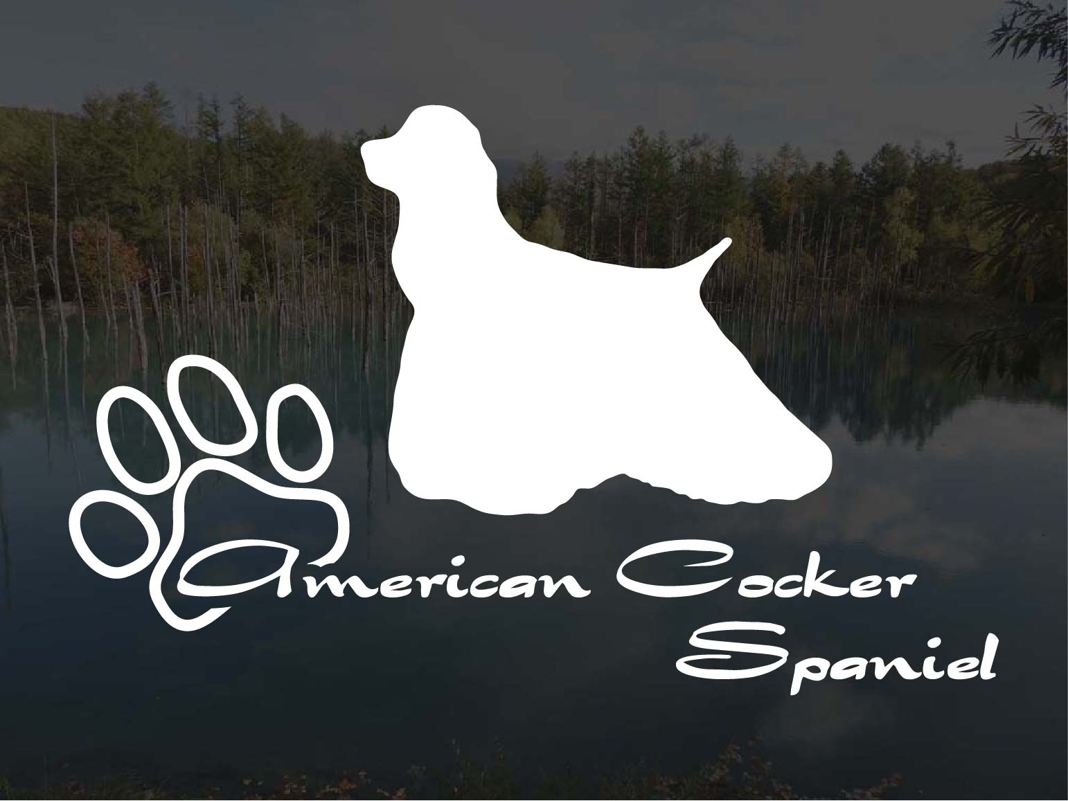 [犬のステッカー]『DOG STICKER』少し大きめのドッグステッカーアメリカンコッカースパニエル