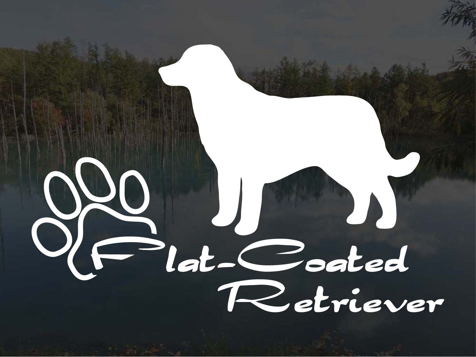 [犬のステッカー]『DOG STICKER』少し大きめのドッグステッカーフラットコーテッドレトリーバー