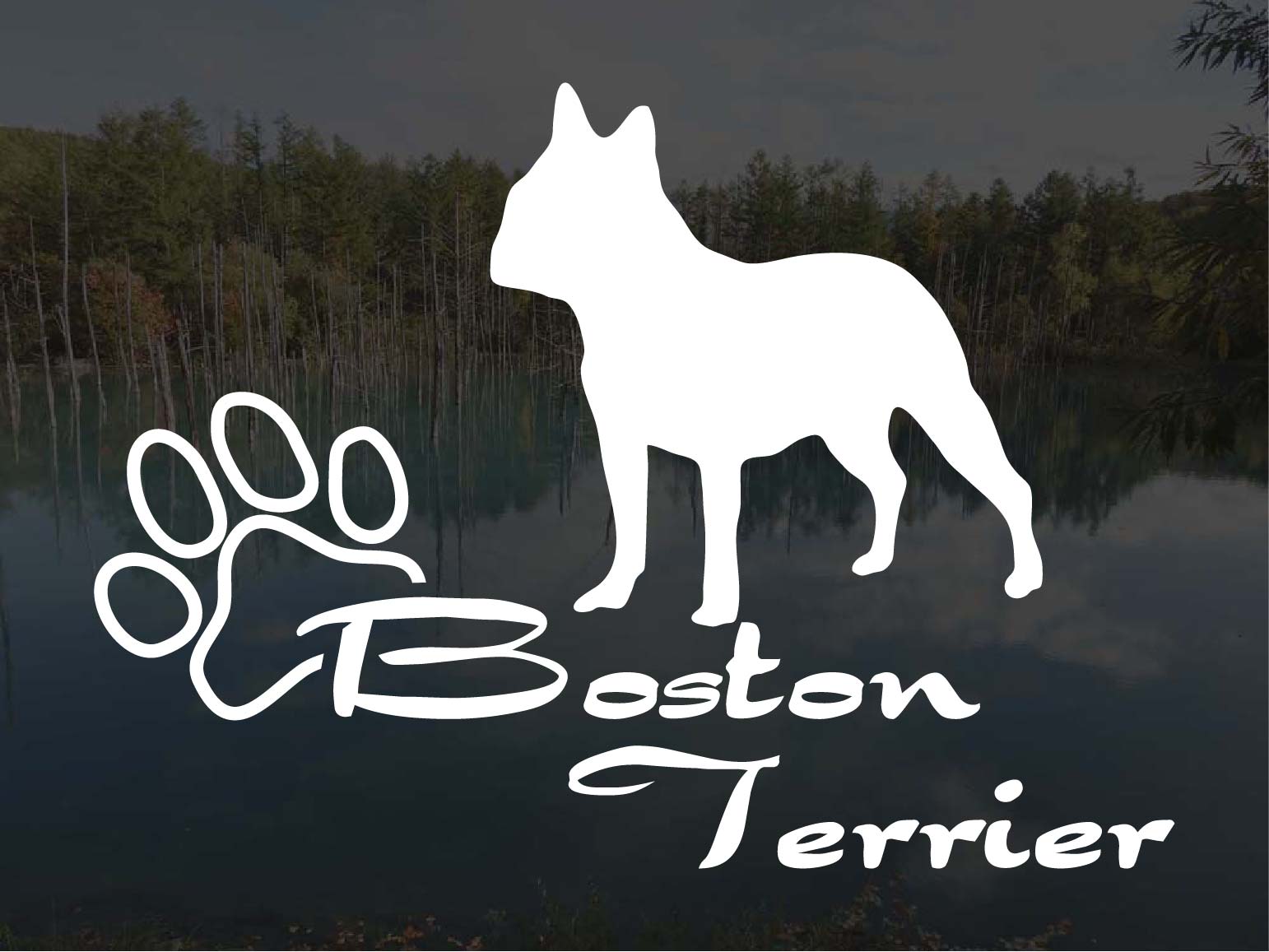 [犬のステッカー]『DOG STICKER』少し大きめのドッグステッカーボストンテリア