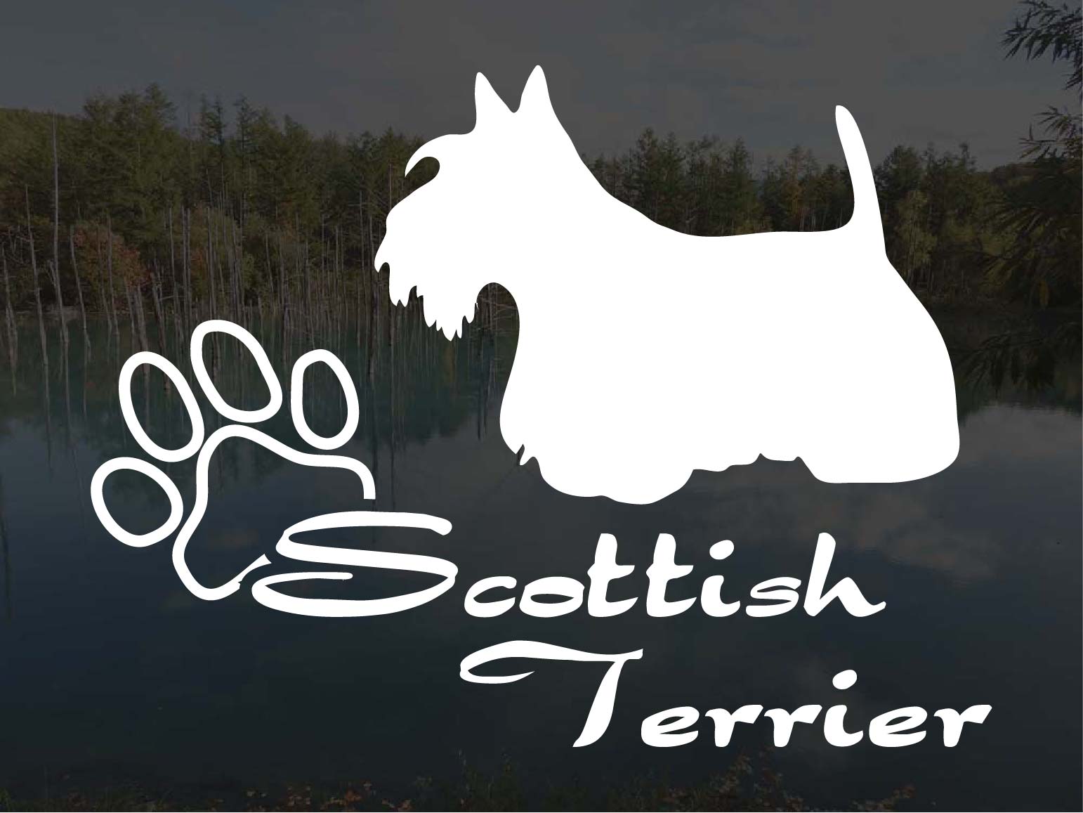 [犬のステッカー]『DOG STICKER』少し大きめのドッグステッカースコティッシュテリア