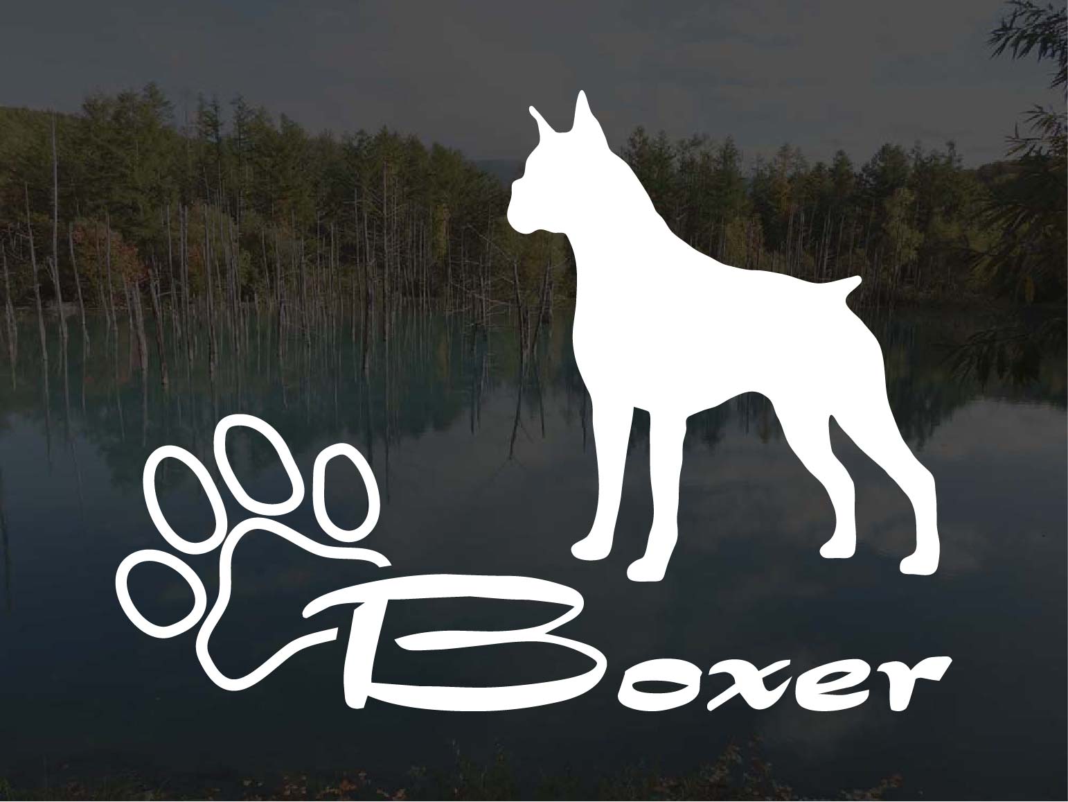 [犬のステッカー]『DOG STICKER』少し大きめのドッグステッカーボクサー