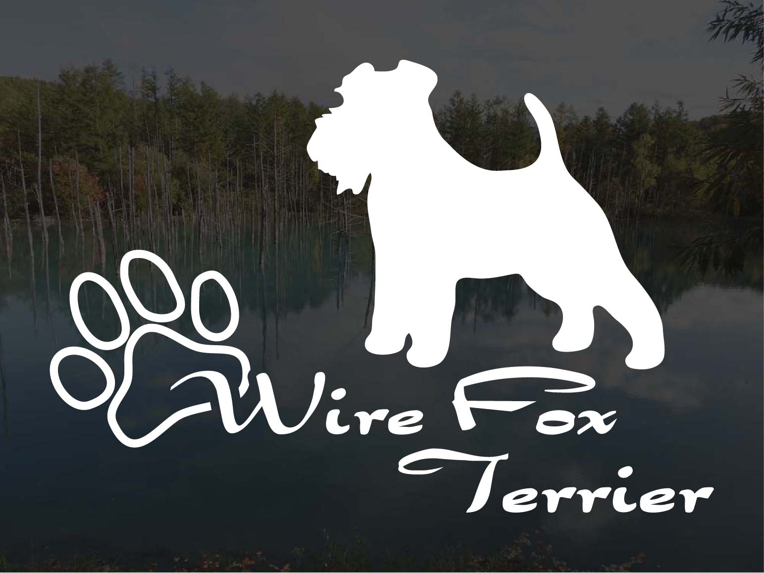 [犬のステッカー]『DOG STICKER』少し大きめのドッグステッカーワイアーフォックステリア