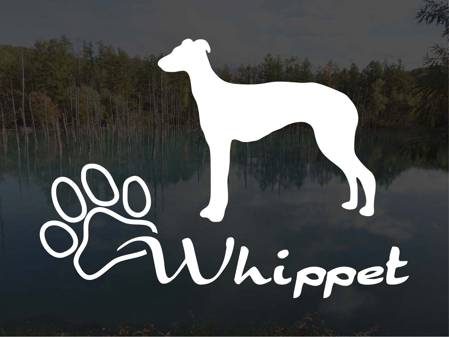 [犬のステッカー]『DOG STICKER』少し大きめのドッグステッカーウィペット