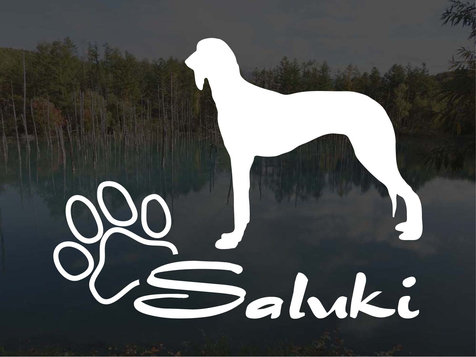 [犬のステッカー]『DOG STICKER』少し大きめのドッグステッカーサルーキー