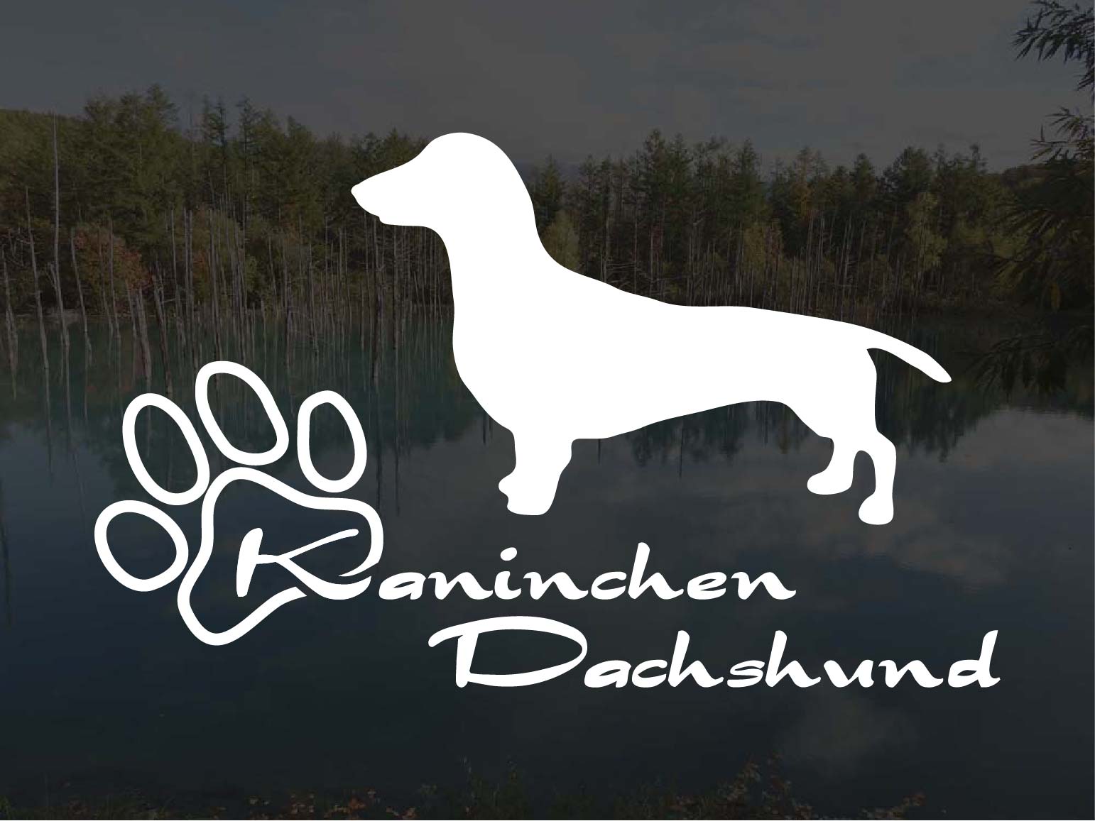 [犬のステッカー]『DOG STICKER』少し大きめのドッグステッカーカニンヘンダックスフンド スムースヘア..