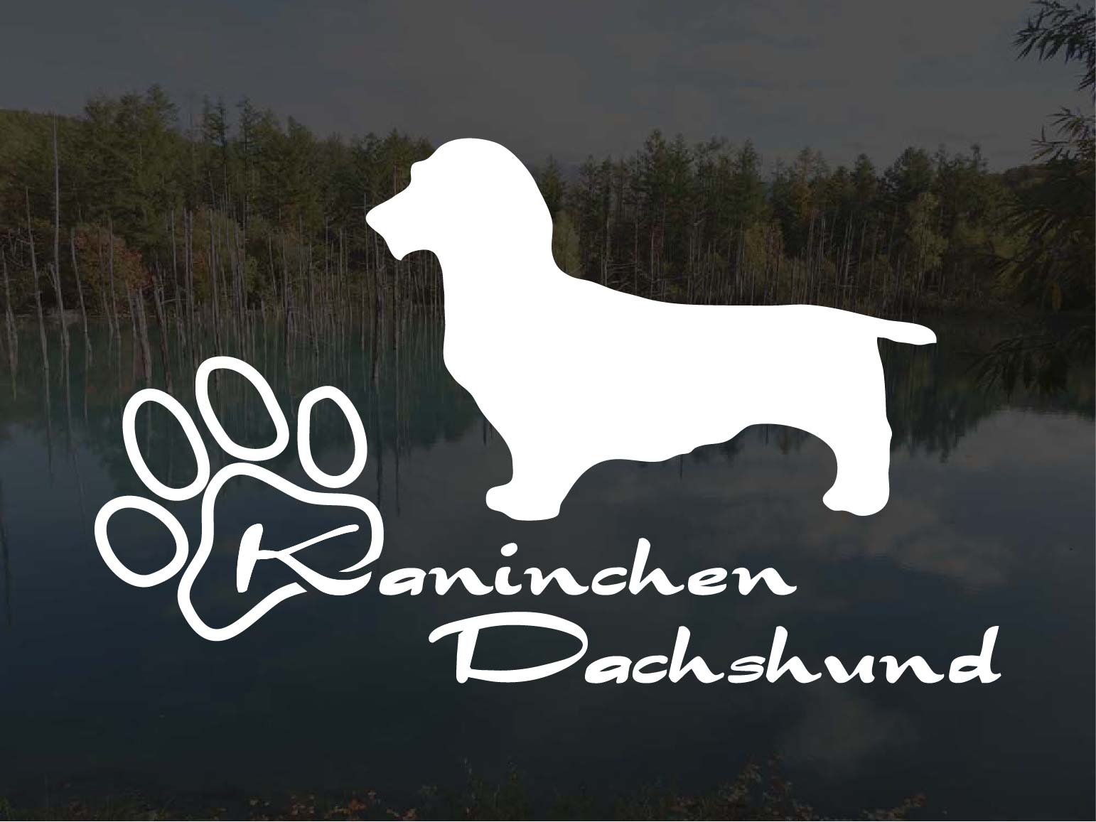 [犬のステッカー]『DOG STICKER』少し大きめのドッグステッカーカニンヘンダックスフンドワイヤーヘア..