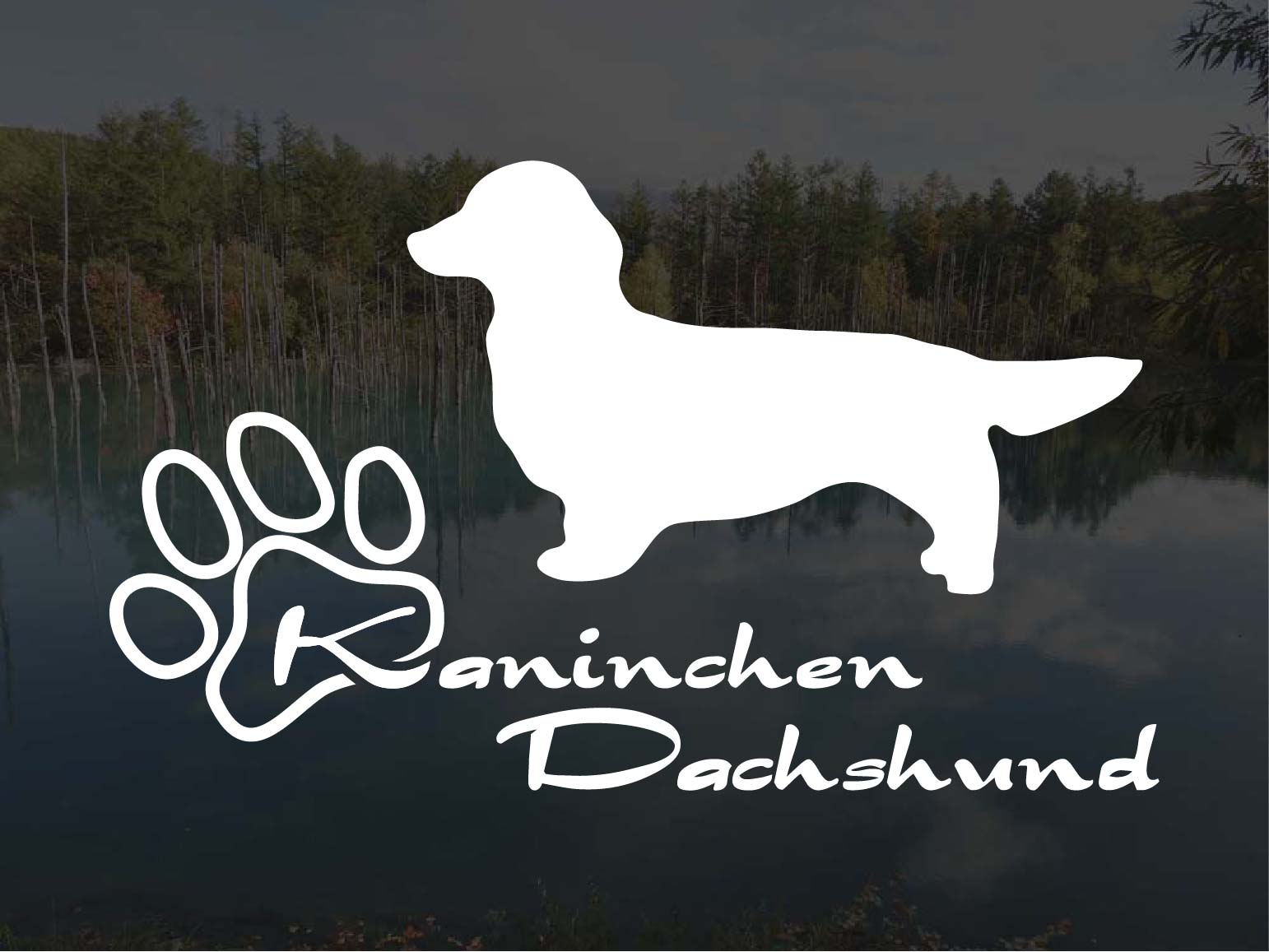 [犬のステッカー]『DOG STICKER』少し大きめのドッグステッカーカニンヘンダックスフンド ロングヘアード