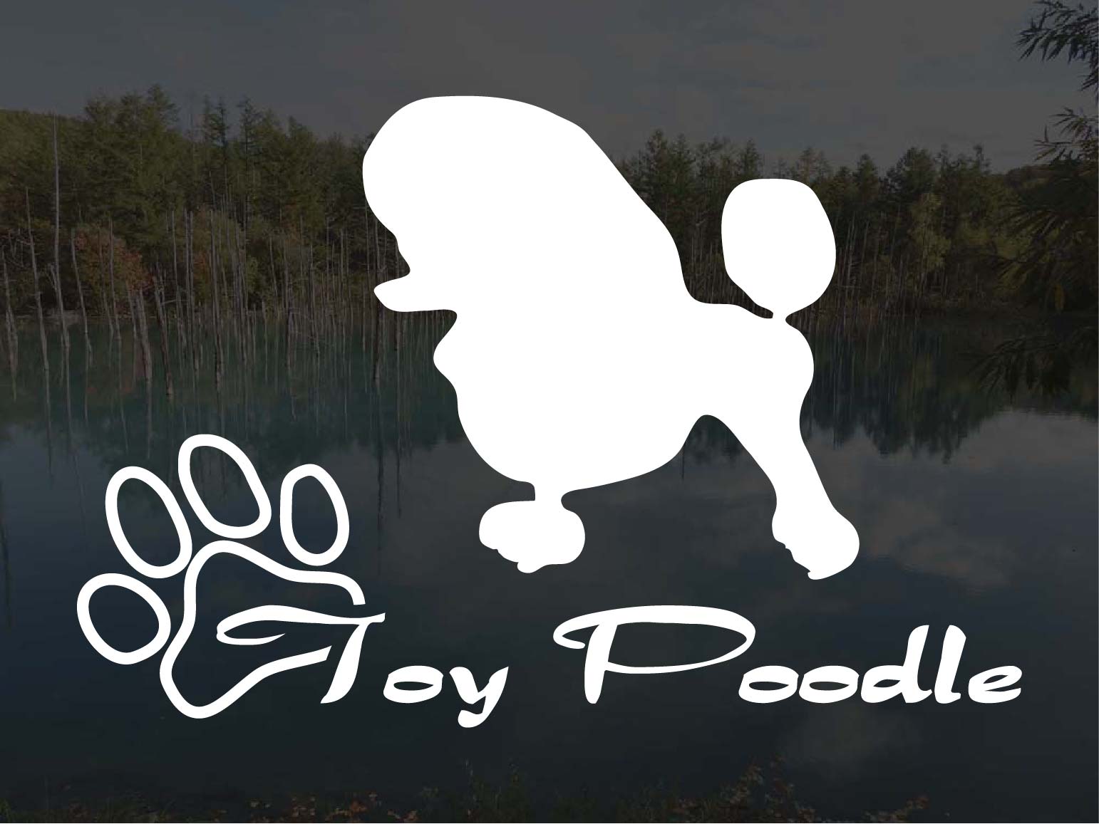 [犬のステッカー]『DOG STICKER』少し大きめのドッグステッカートイプードル Aタイプ