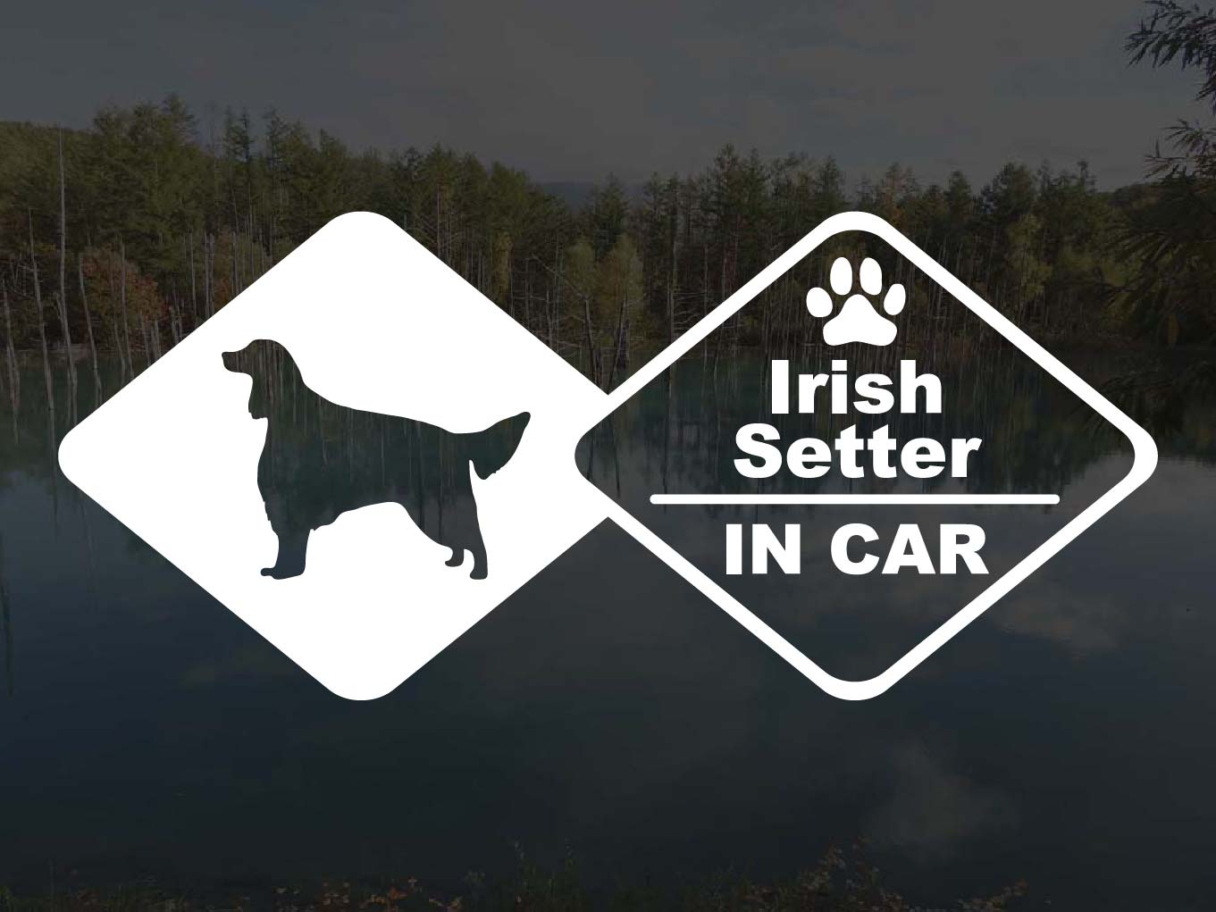 [犬のステッカー]『DOG STICKER』ドッグステッカーアイリッシュセターIN CAR