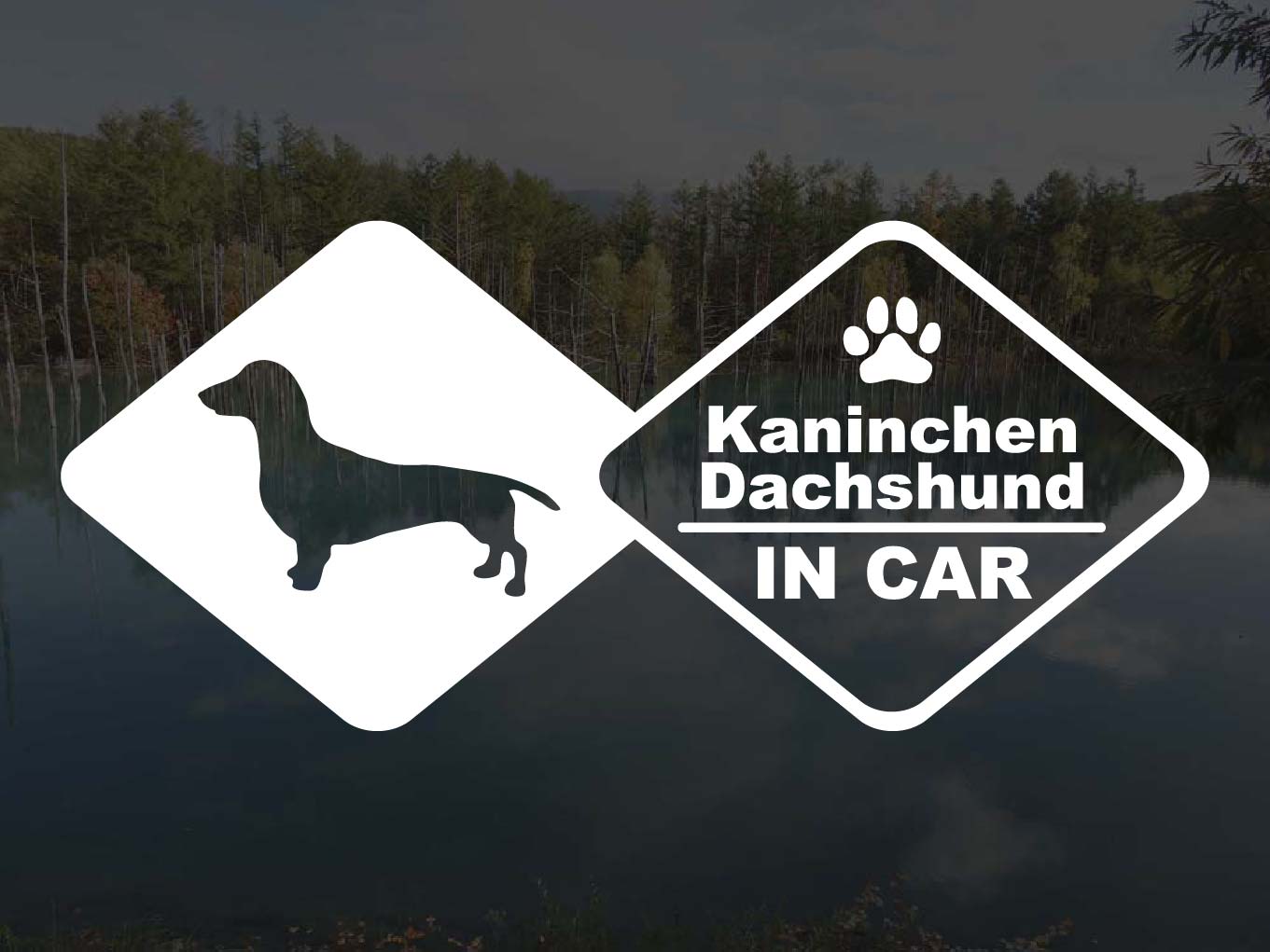 [犬のステッカー]『DOG STICKER』ドッグステッカーカニンヘンダックスフンド スムースIN CAR