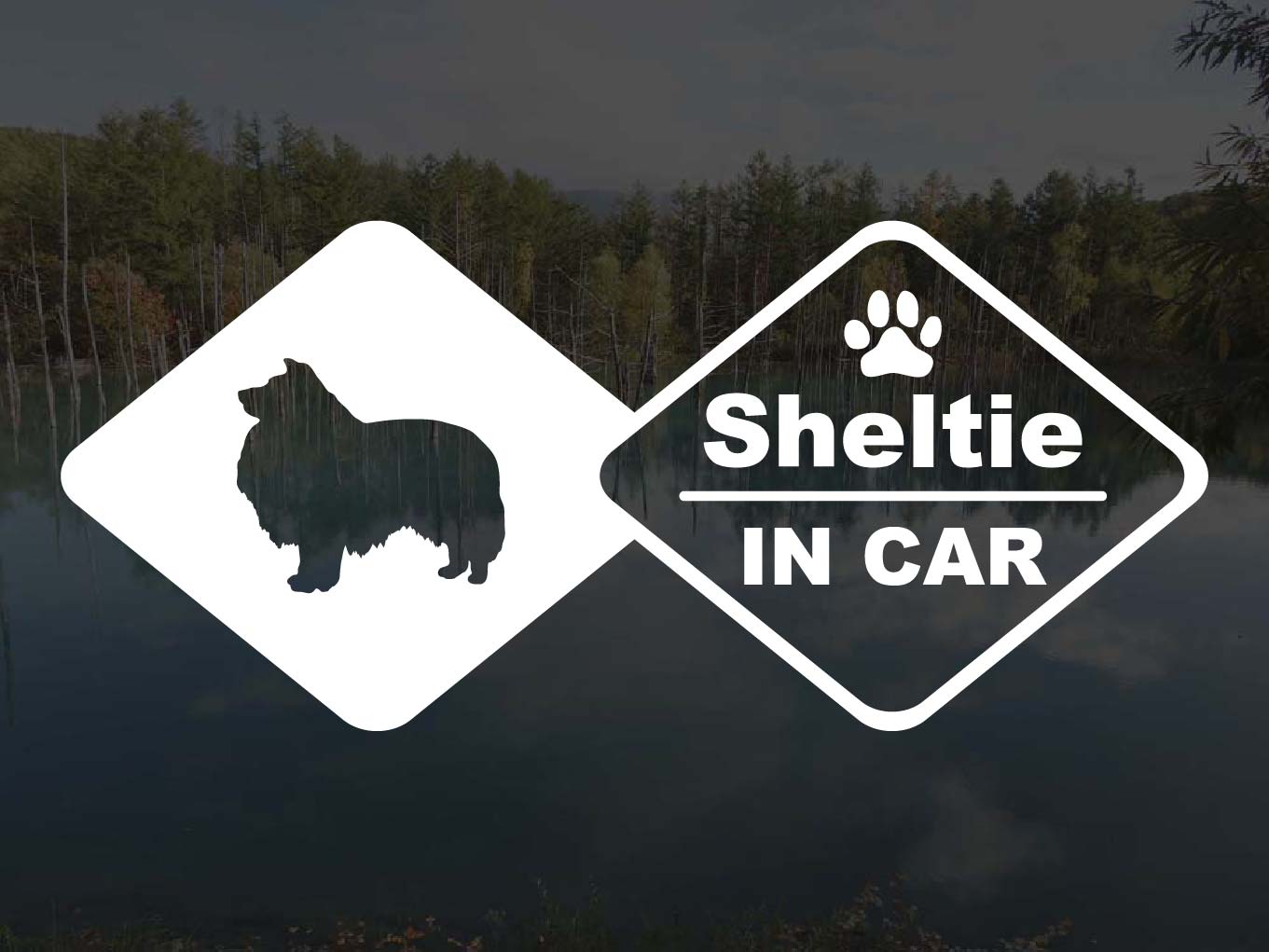 [犬のステッカー]『DOG STICKER』ドッグステッカーシェルティーIN CAR