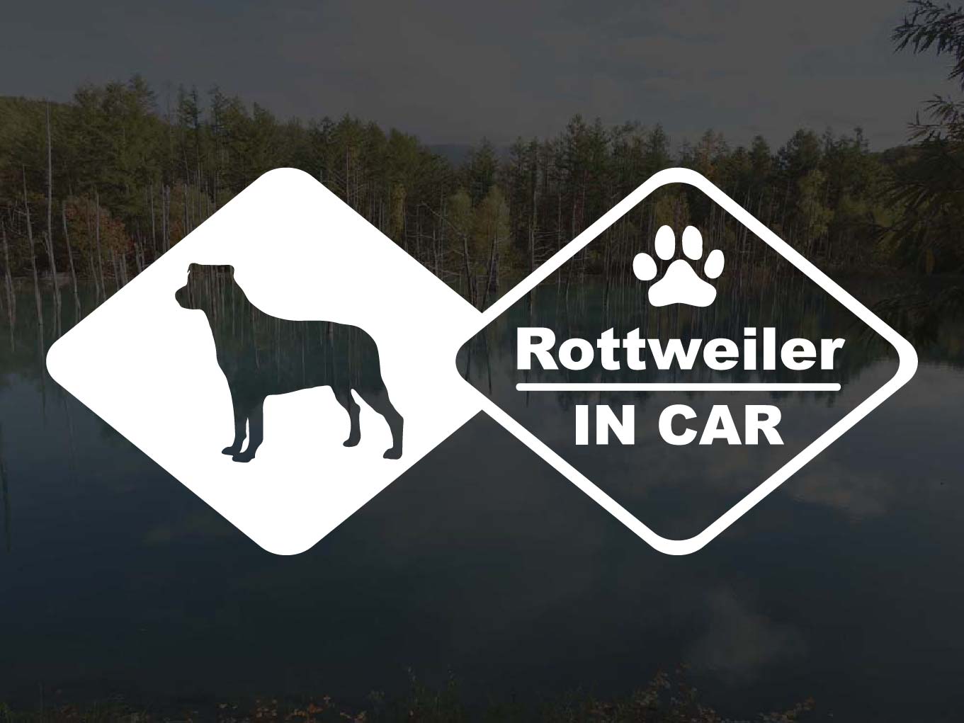 [犬のステッカー]『DOG STICKER』ドッグステッカーロットワイラーIN CAR