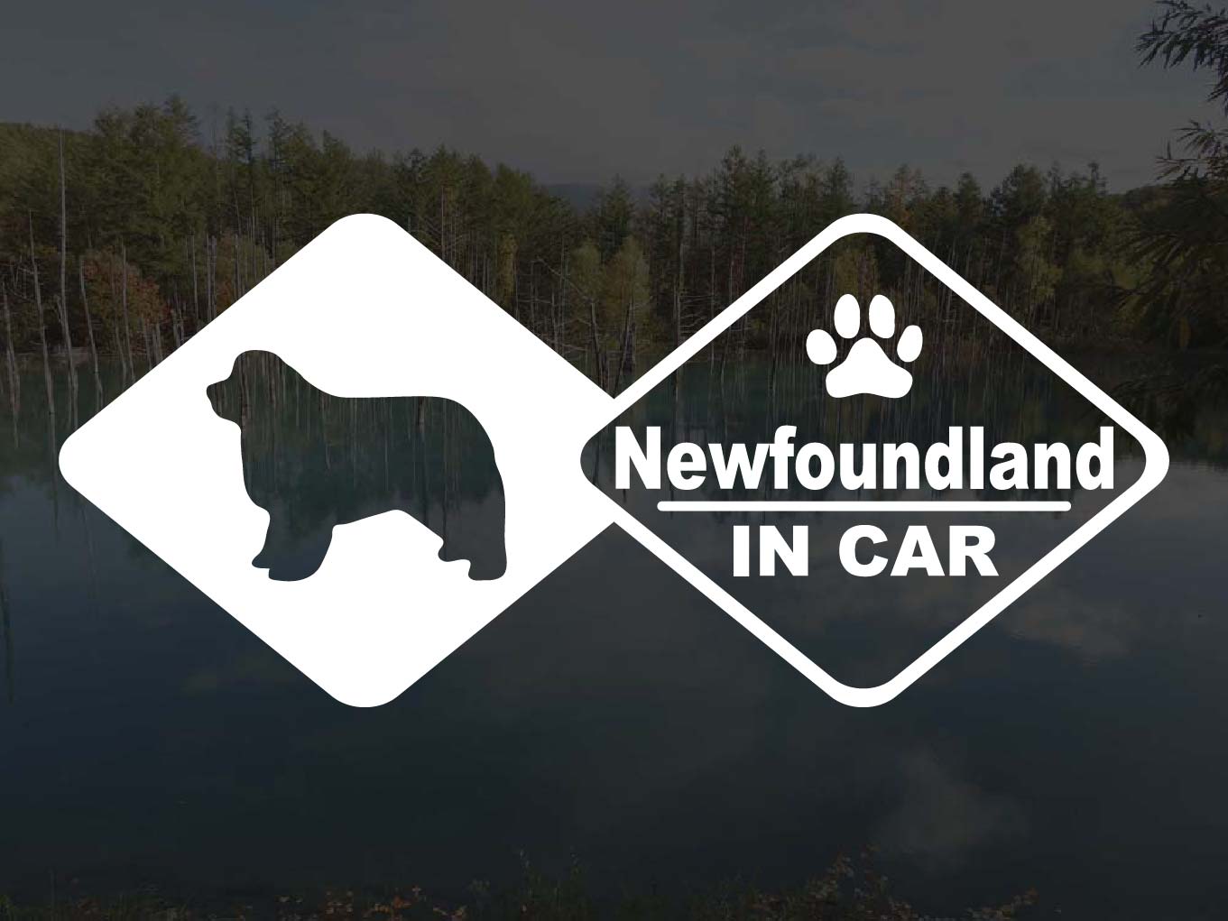 [犬のステッカー]『DOG STICKER』ドッグステッカー ニューファンドランドIN CAR
