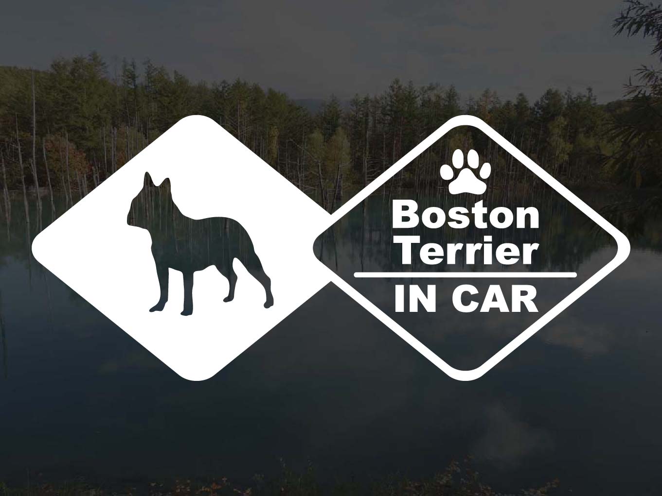 [犬のステッカー]『DOG STICKER』ドッグステッカー ボストンテリアIN CAR