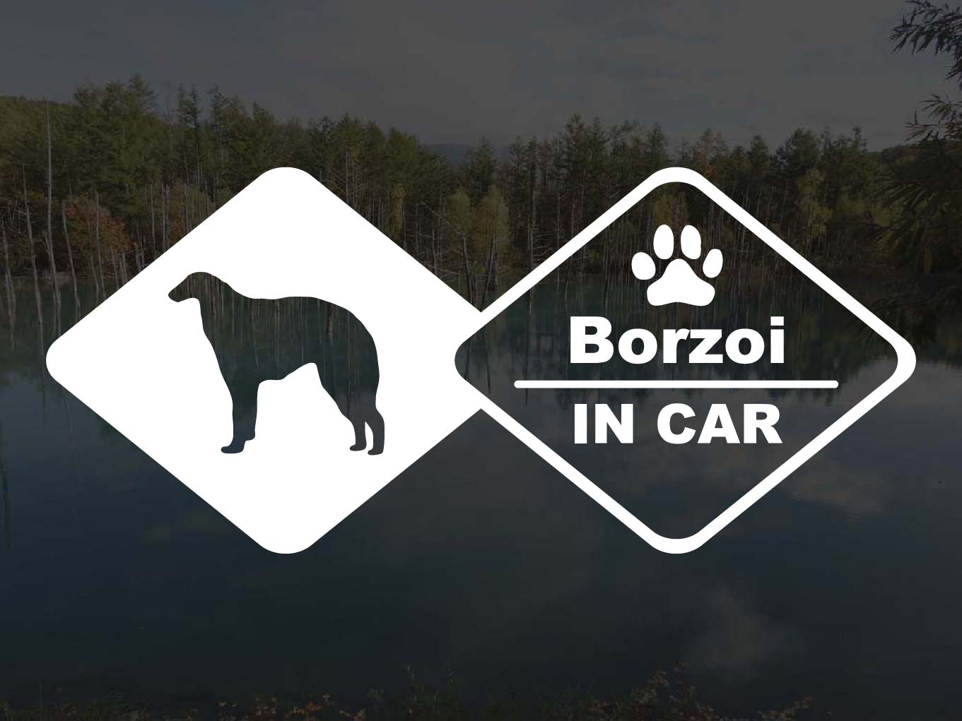 [犬のステッカー]『DOG STICKER』ドッグステッカー ボルゾイIN CAR