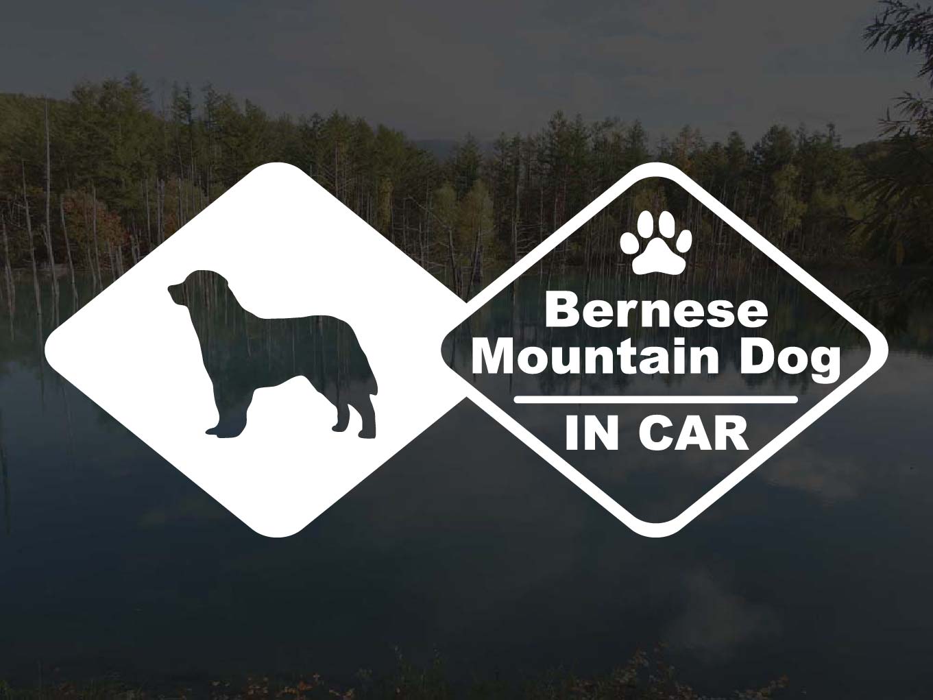 [犬のステッカー]『DOG STICKER』ドッグステッカー バーニーズマウンテンドッグ IN CAR