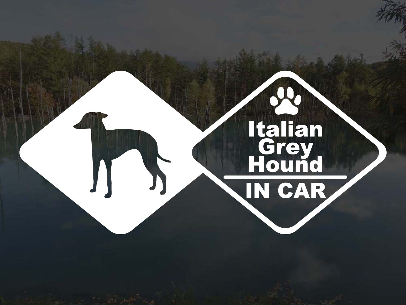 [犬のステッカー]『DOG STICKER』ドッグステッカーイタリアングレーハウンドIN CAR
