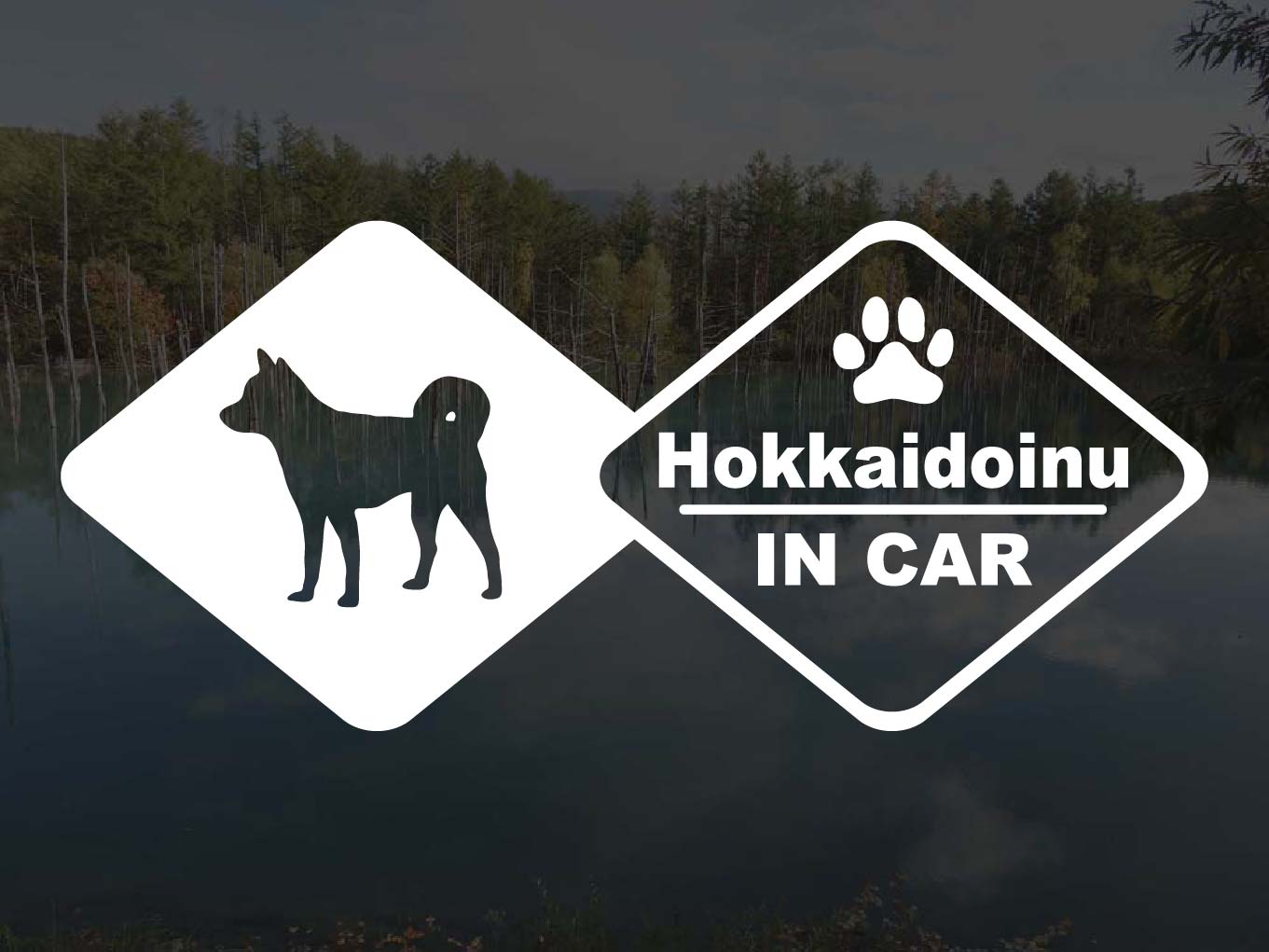 [犬のステッカー]『DOG STICKER』ドッグステッカー 北海道犬IN CAR