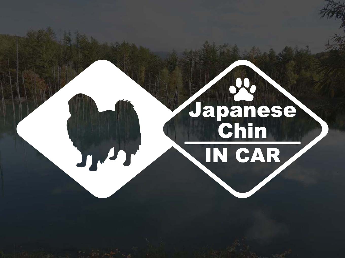 [犬のステッカー]『DOG STICKER』ドッグステッカー 狆IN CAR