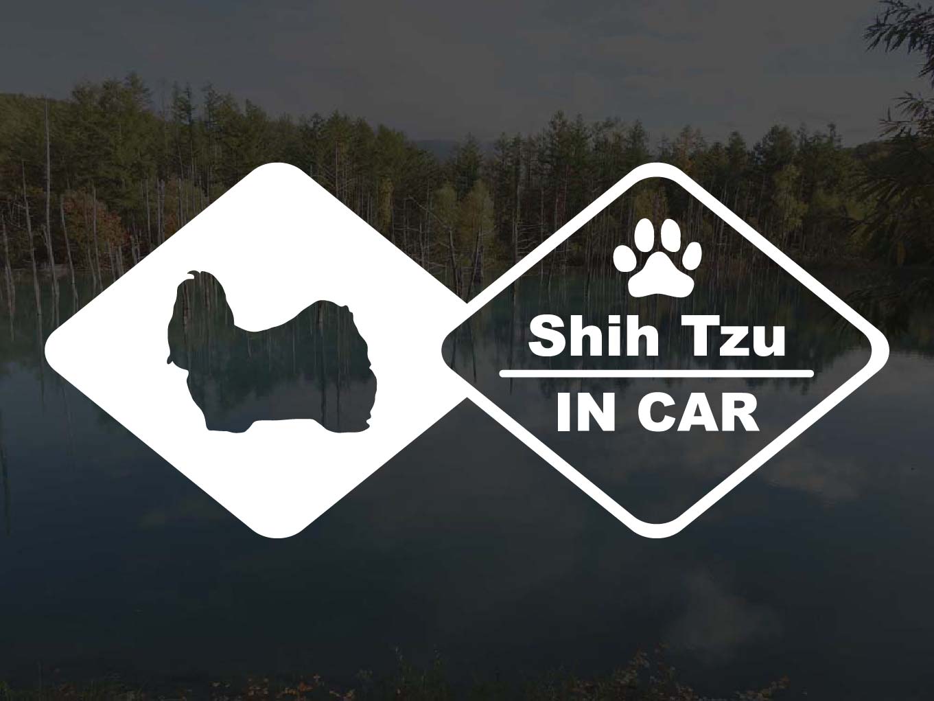 [犬のステッカー]『DOG STICKER』ドッグステッカーシーズーIN CAR