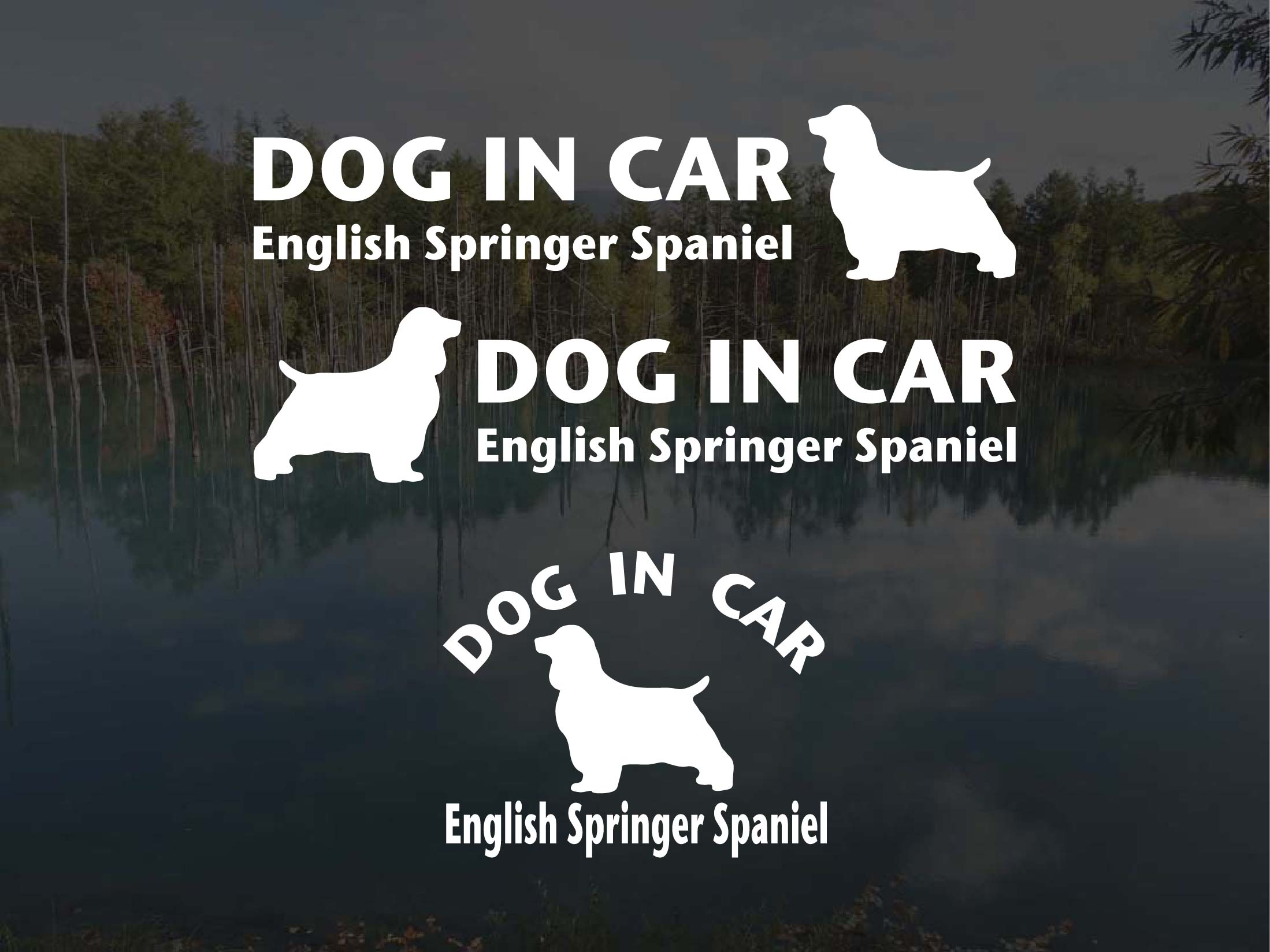 [犬のステッカー]『DOG STICKER』ドッグステッカー『DOG IN CAR』イングリッシュスプリンガースパニエ..