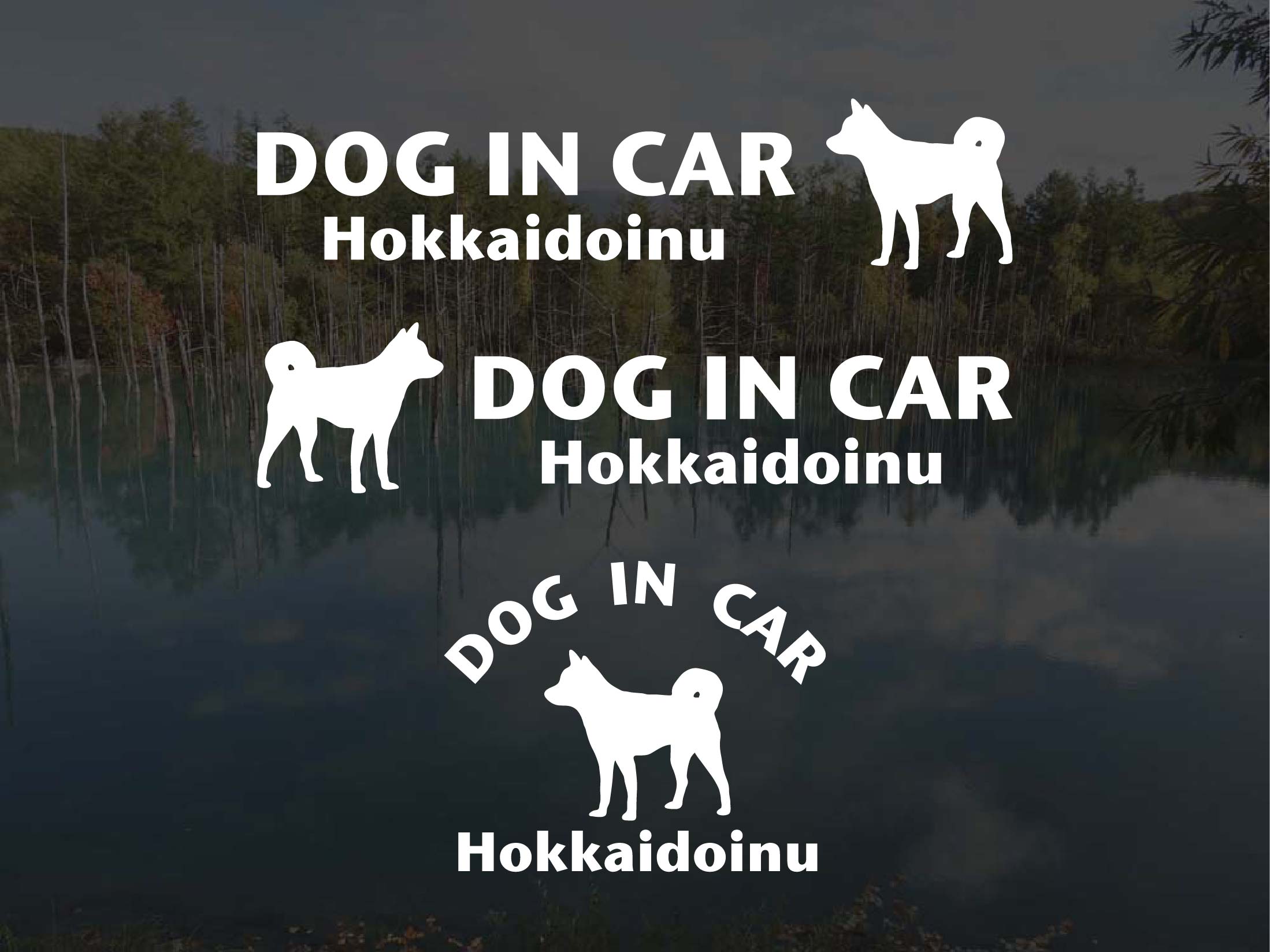 [犬のステッカー]『DOG STICKER』ドッグステッカー『DOG IN CAR』北海道犬 3枚組