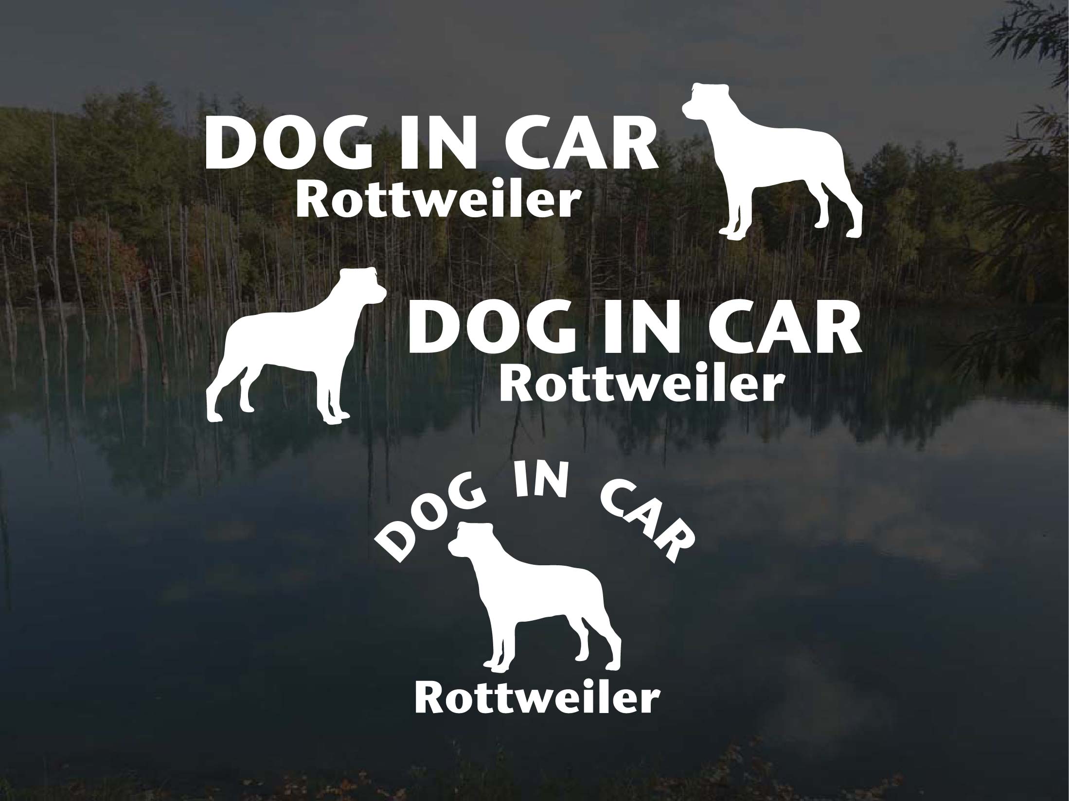 [犬のステッカー]『DOG STICKER』ドッグステッカー『DOG IN CAR』ロットワイラー3枚組