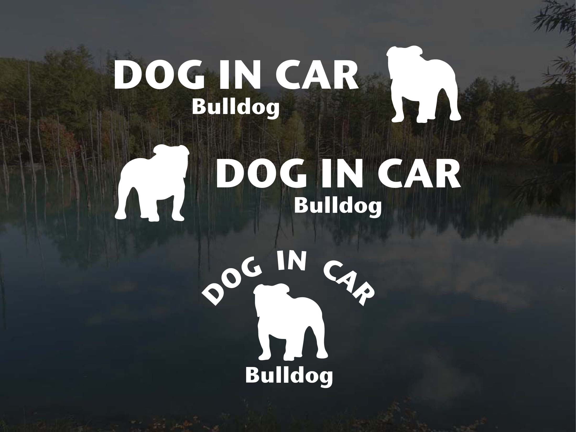 [犬のステッカー]『DOG STICKER』ドッグステッカー『DOG IN CAR』ブルドッグ 3枚組