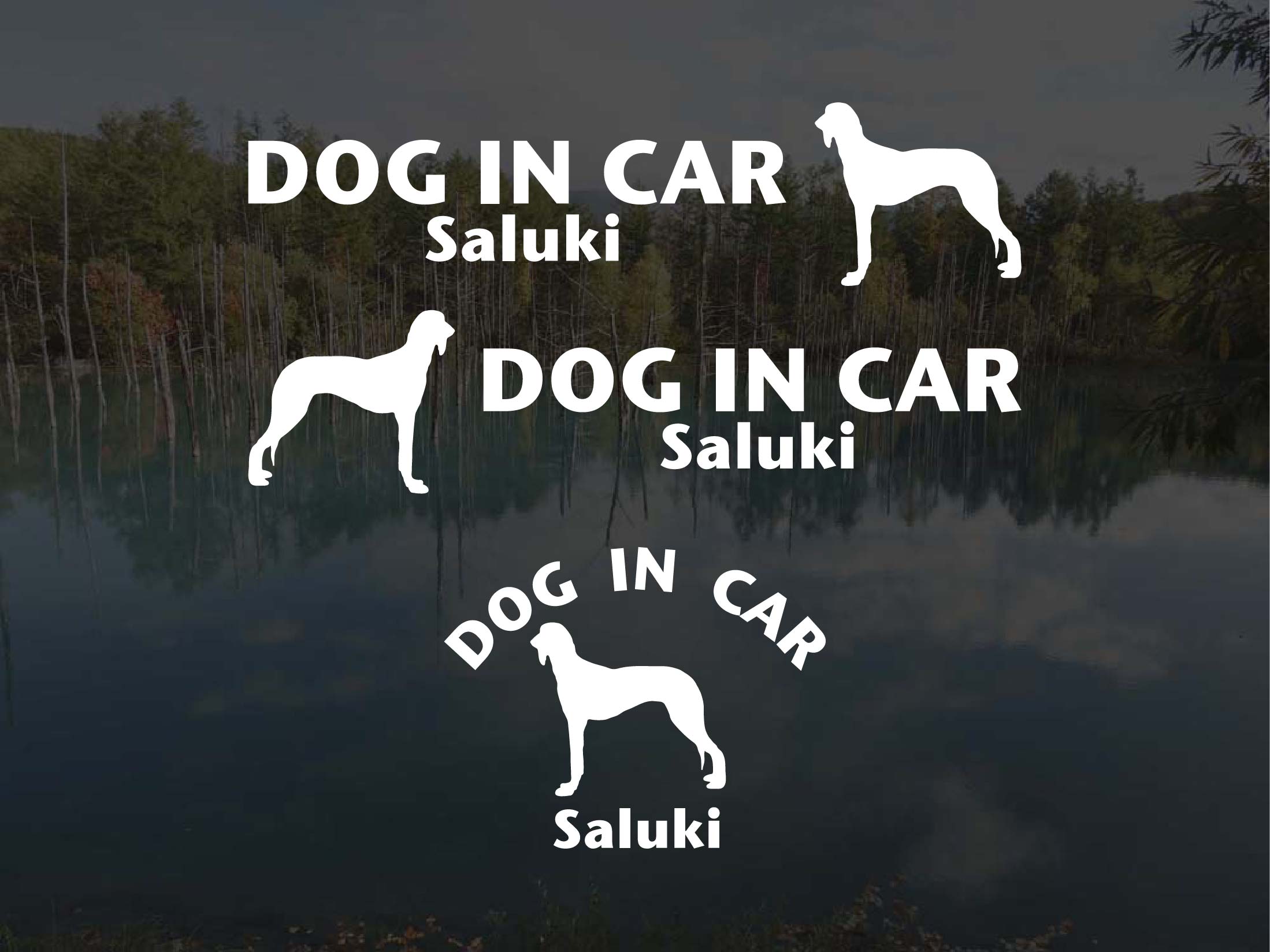 [犬のステッカー]『DOG STICKER』ドッグステッカー『DOG IN CAR』サルーキー 3枚組