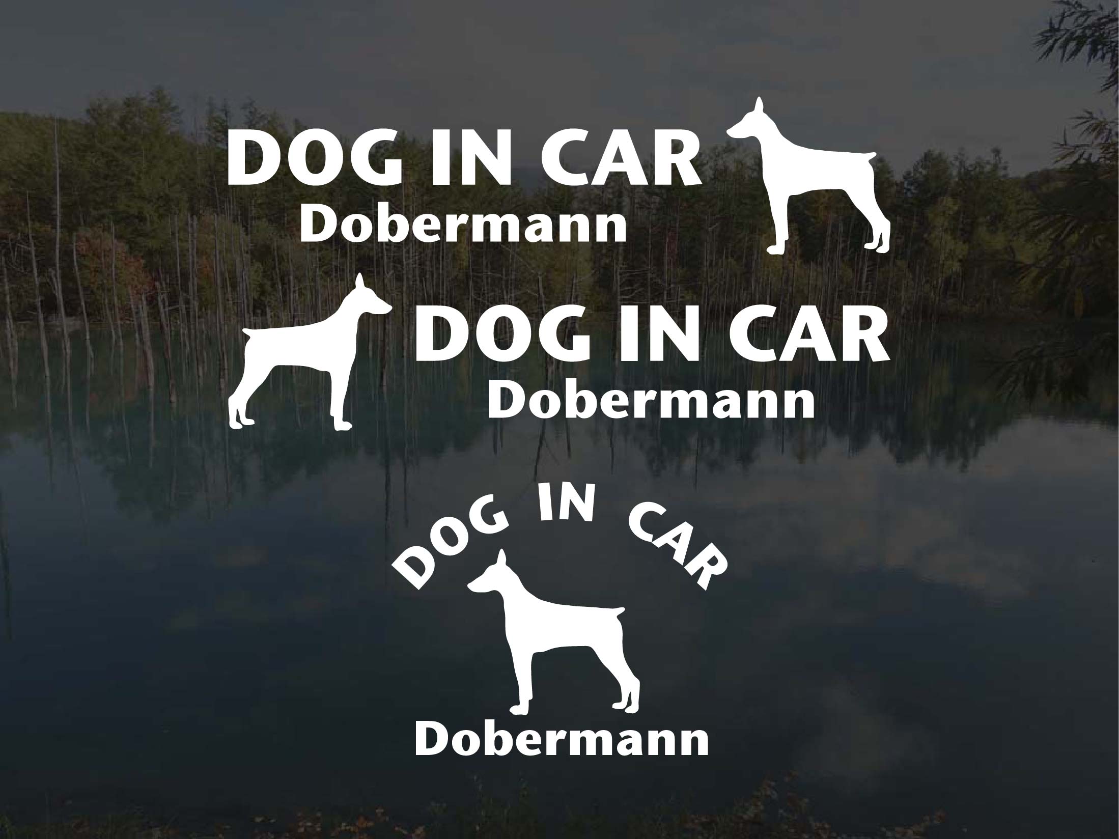 [犬のステッカー]『DOG STICKER』ドッグステッカー『DOG IN CAR』ドーベルマン 3枚組