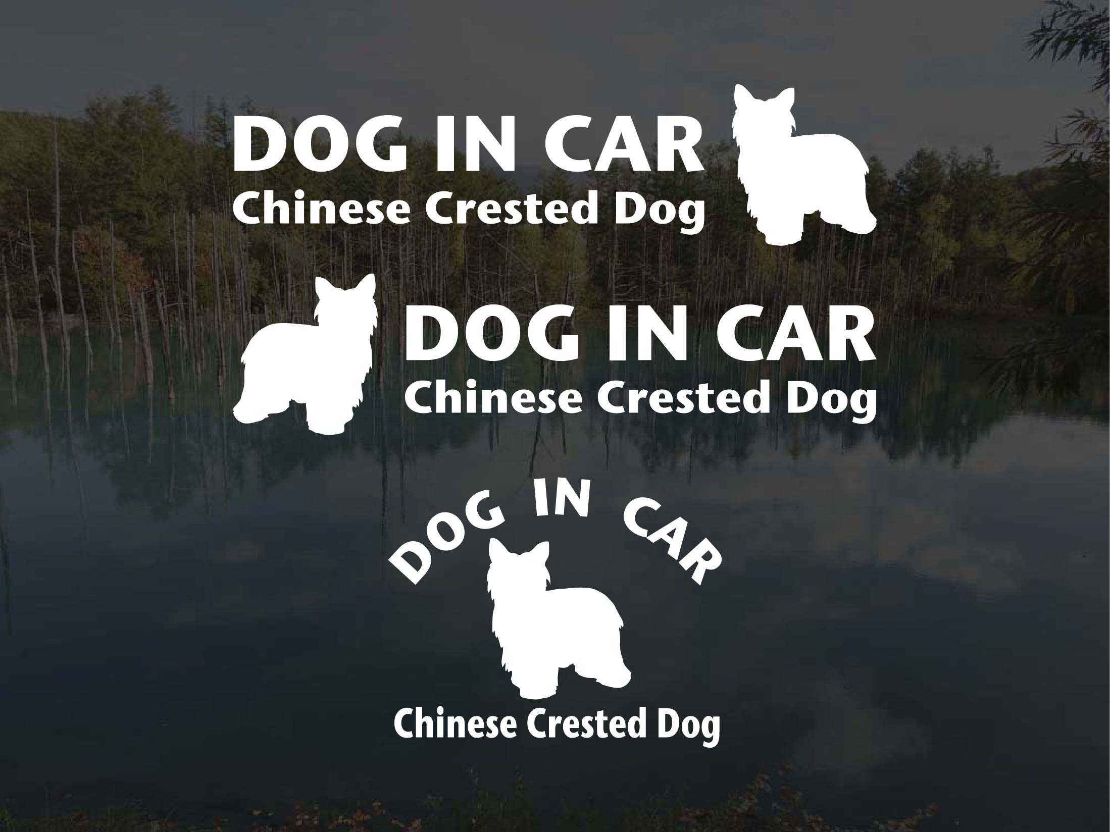 [犬のステッカー]『DOG STICKER』ドッグステッカー『DOG IN CAR』チャイニーズクレステッドドッグ パウ..