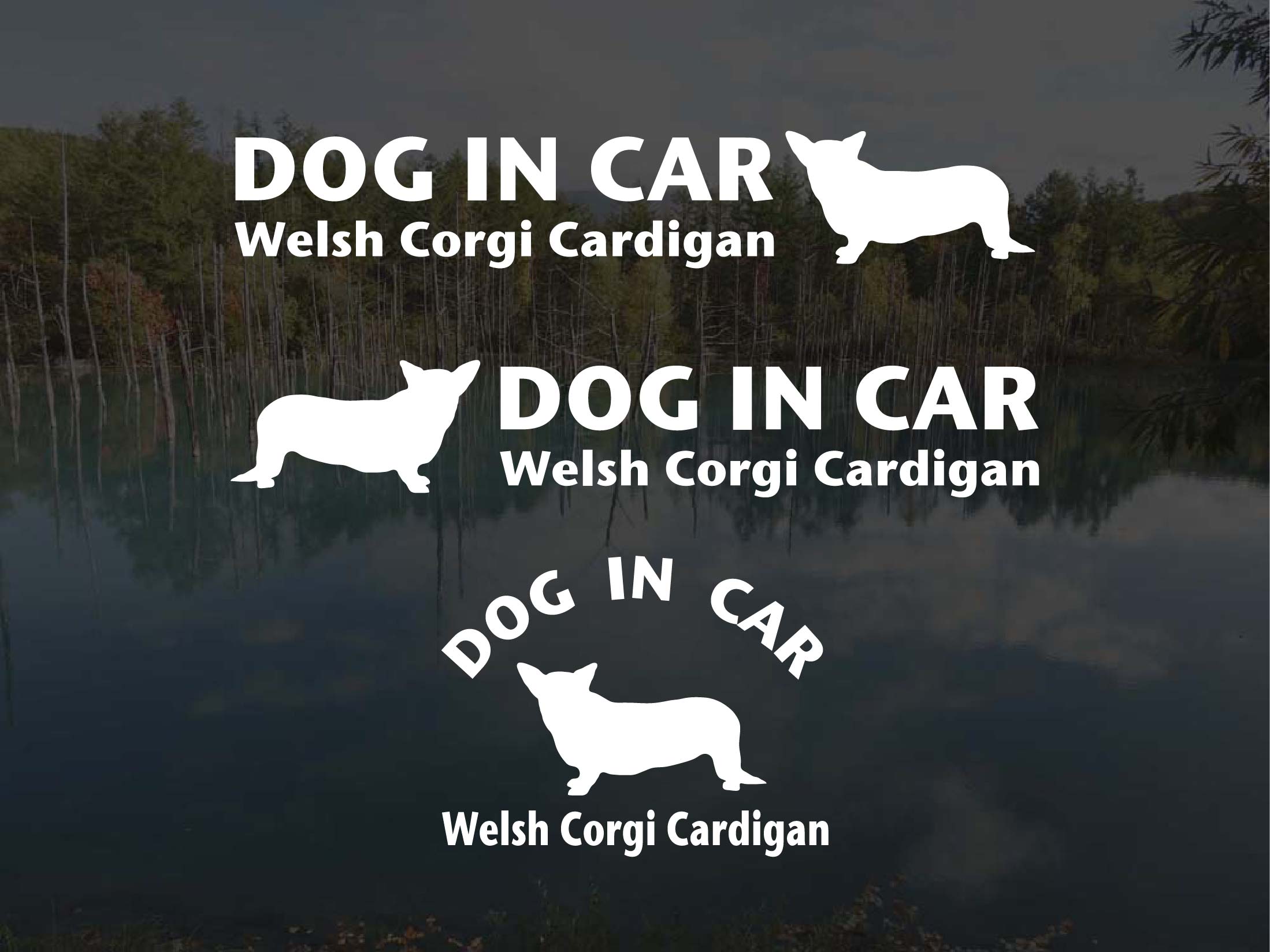[犬のステッカー]『DOG STICKER』ドッグステッカー『DOG IN CAR』ウェルシュコーギーカーディガン3枚組