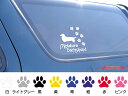 [犬のステッカー]『DOG STICKER』肉球いっぱいドッグステッカーラフコリー (Lサイズ) 3