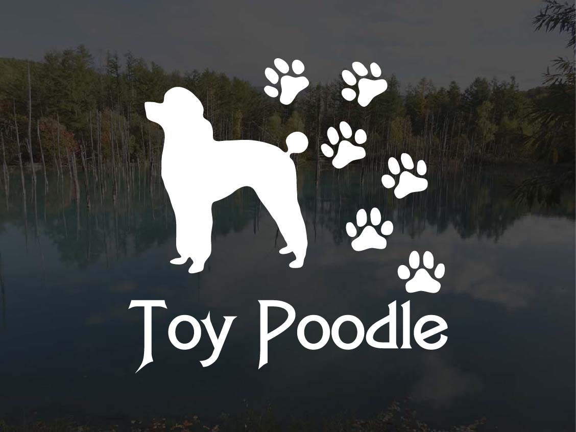 [犬のステッカー]『DOG STICKER』肉球いっぱいドッグステッカートイプードル Bタイプ (Lサイズ)プードル