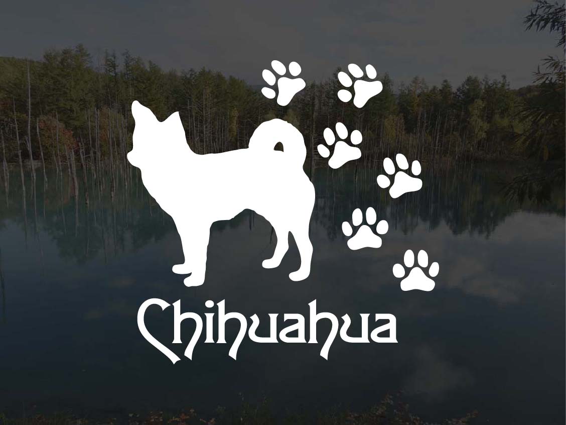 [犬のステッカー]『DOG STICKER』肉球いっぱいドッグステッカーロングコート チワワ (Lサイズ)