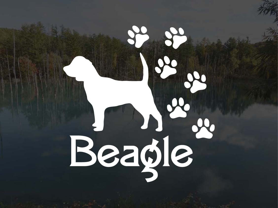 [犬のステッカー]『DOG STICKER』肉球いっぱいドッグステッカービーグル (Lサイズ)