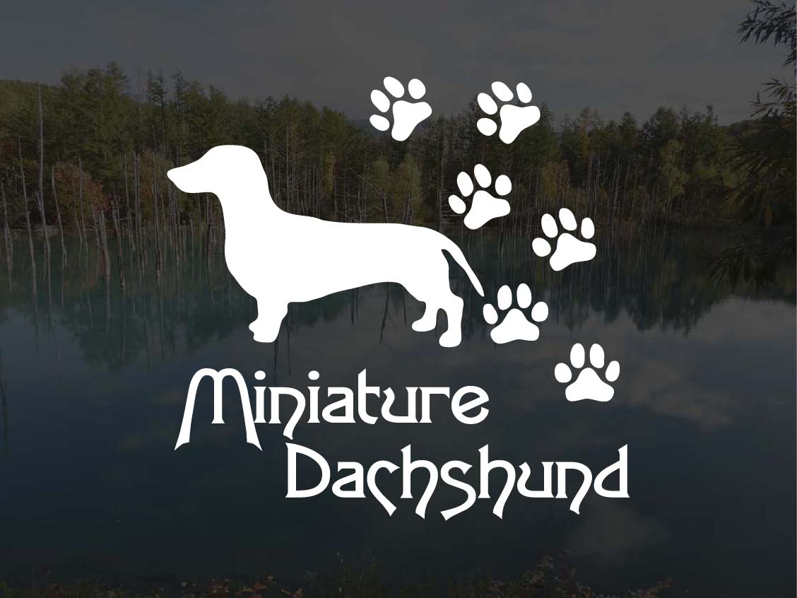 [犬のステッカー]『DOG STICKER』肉球いっぱいドッグステッカーミニチュアダックスフンド スムースヘア..