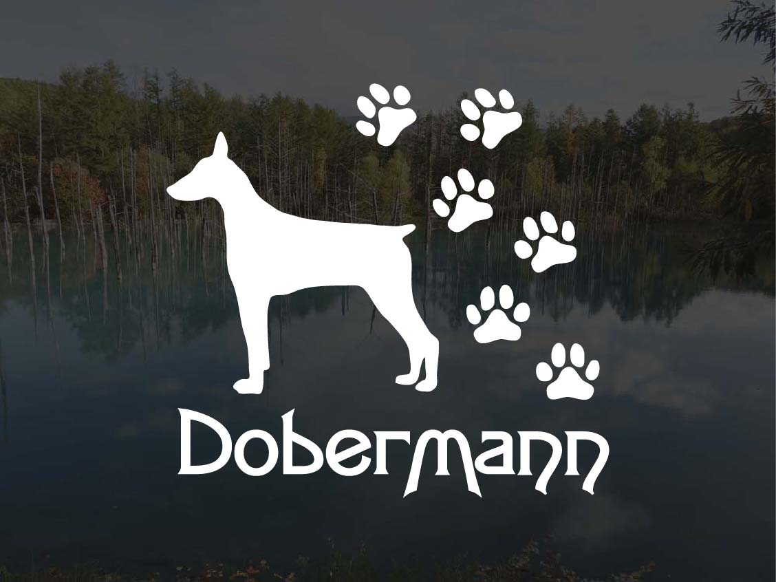 [犬のステッカー]『DOG STICKER』肉球いっぱいドッグステッカードーベルマン (Sサイズ)